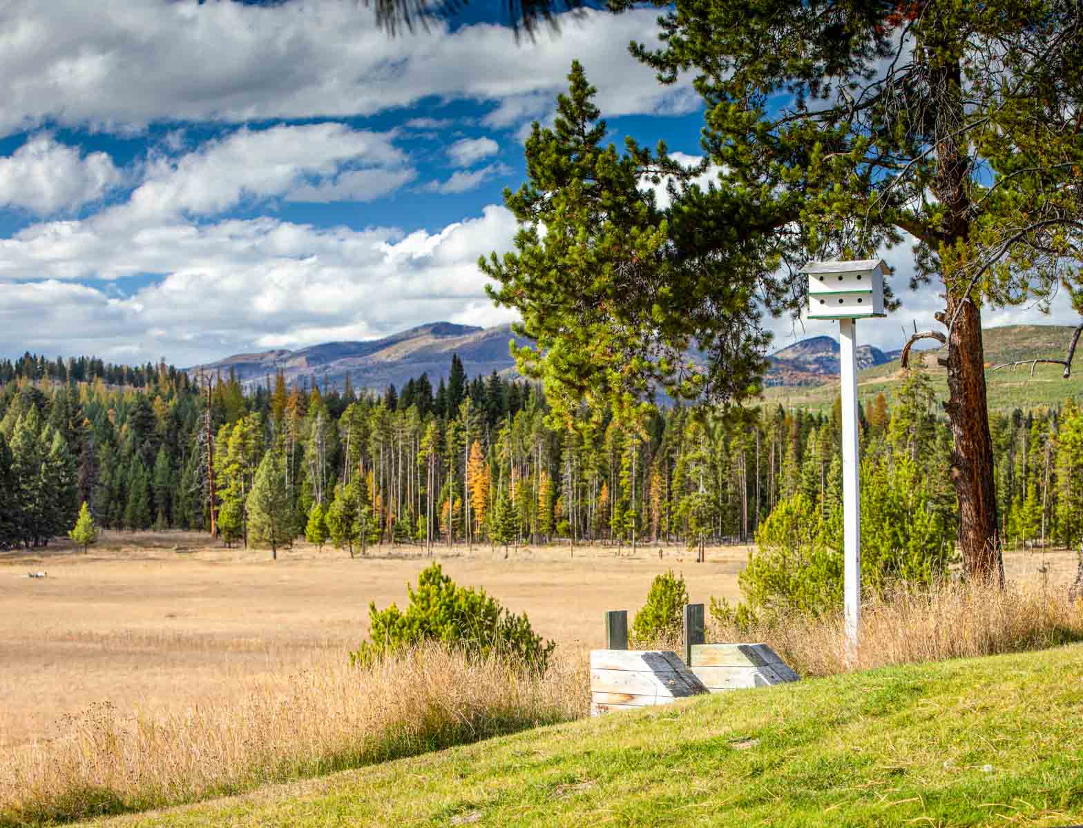 Grey Wolf Guest Ranch property picture 13 of 80