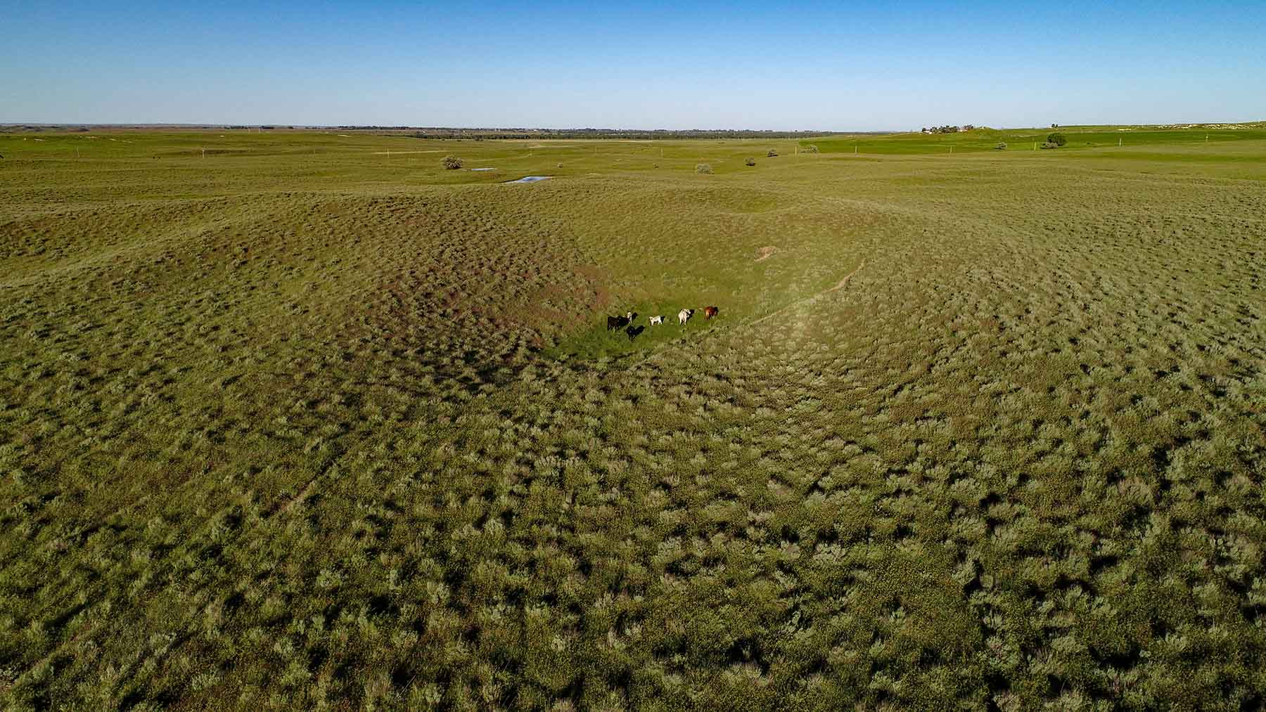 Oregon Trail River Ranch property picture 12 of 70