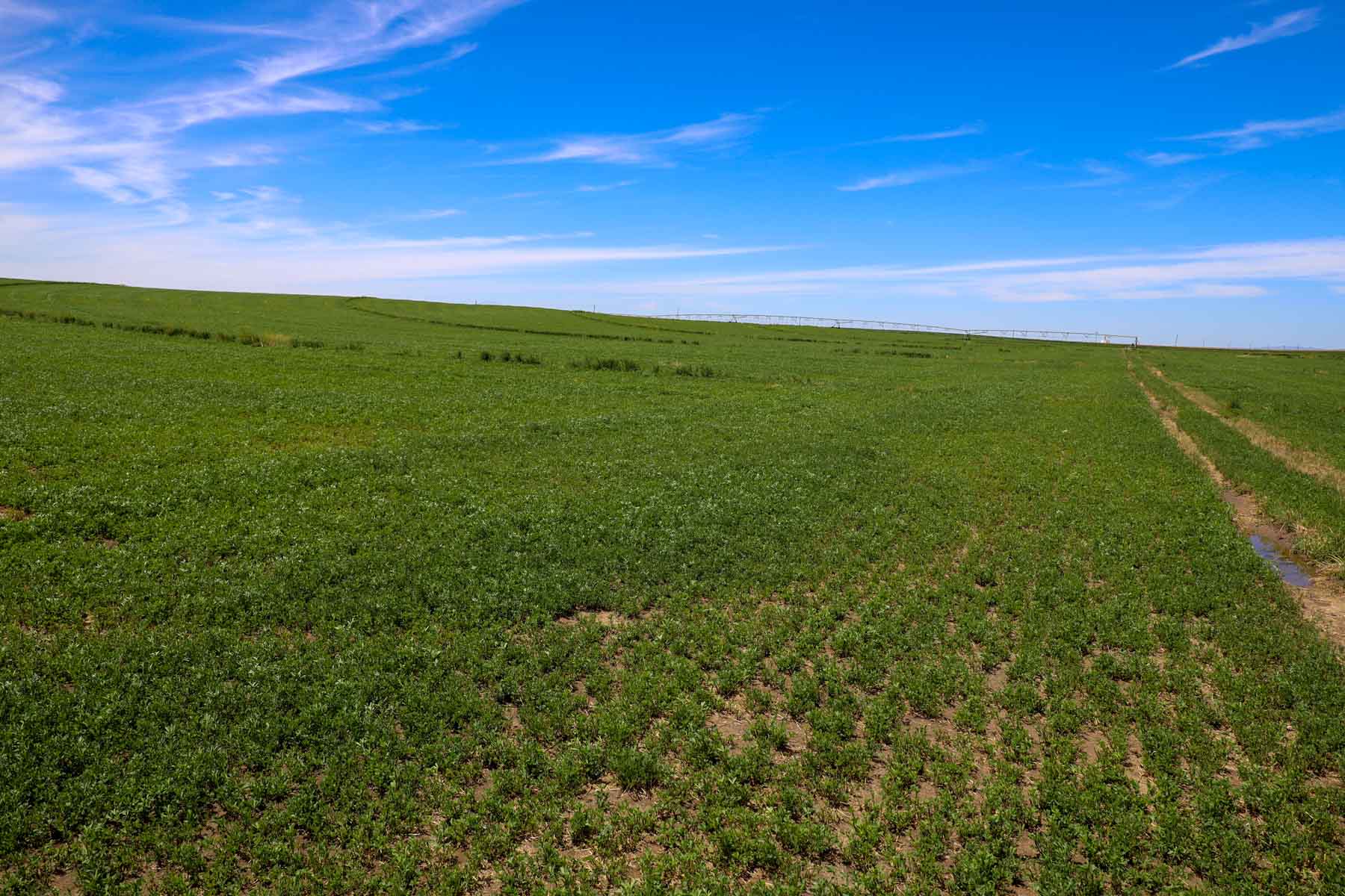 Oregon Trail River Ranch property picture 19 of 70