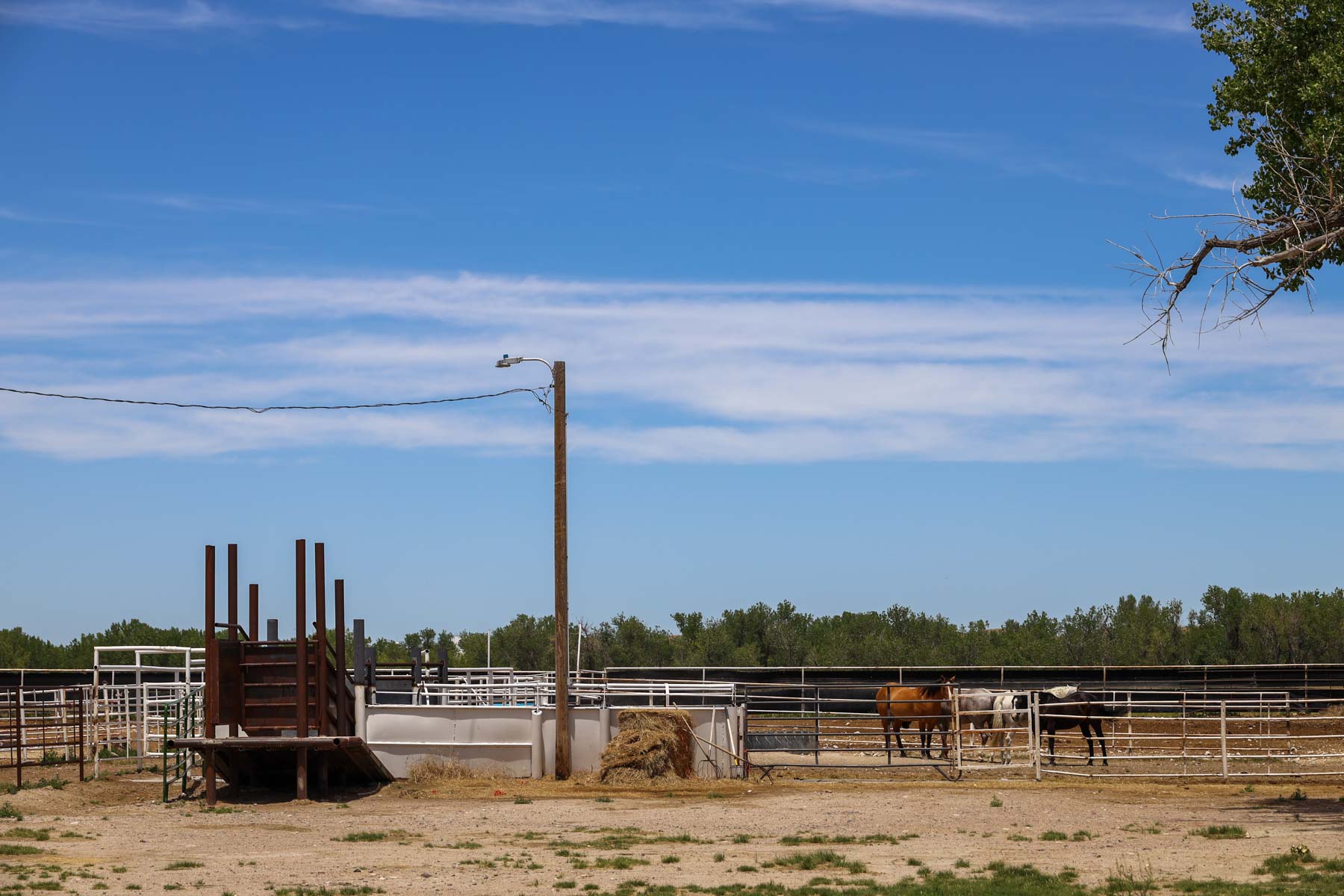 Oregon Trail River Ranch property picture 17 of 70