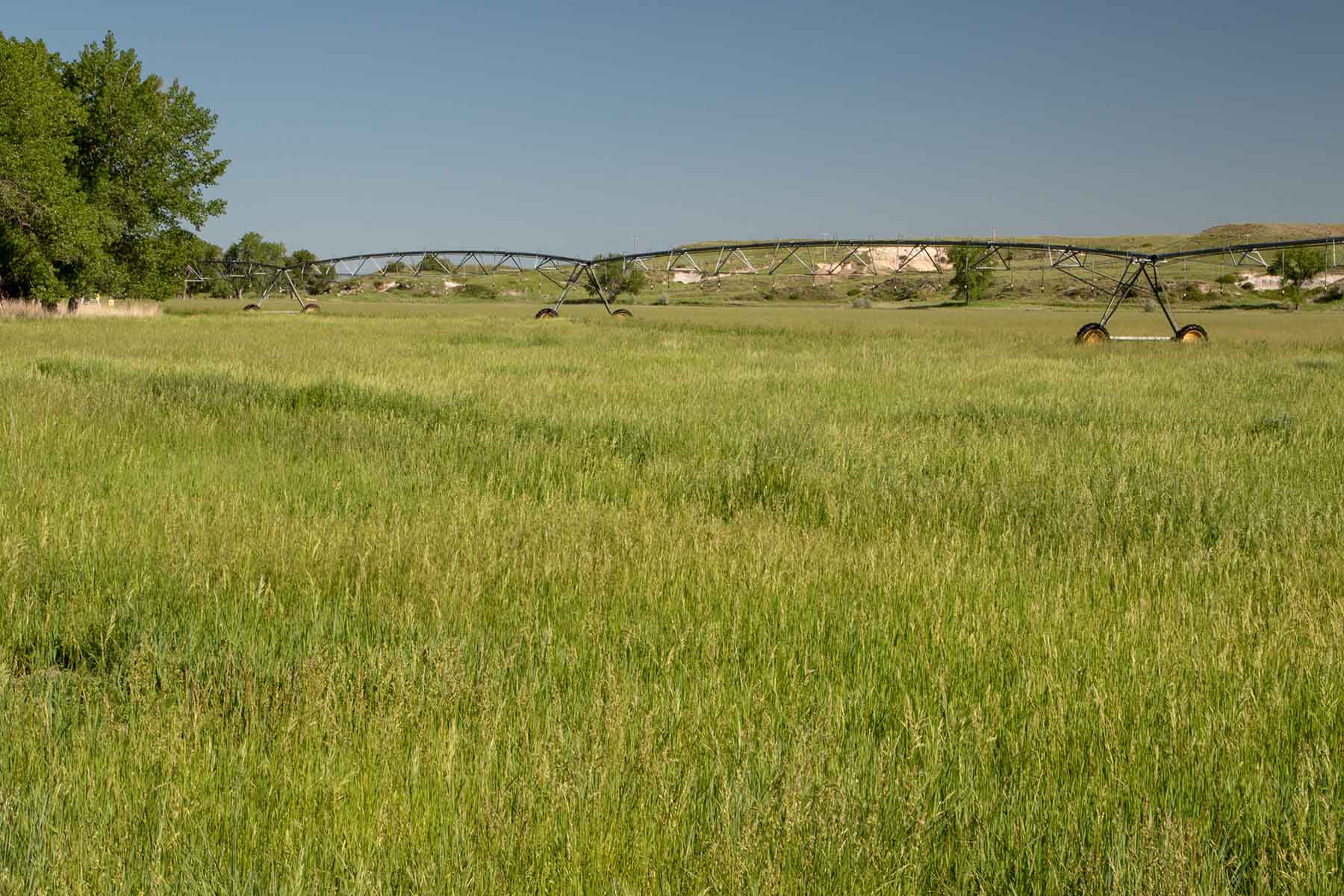 Oregon Trail River Ranch property picture 18 of 70