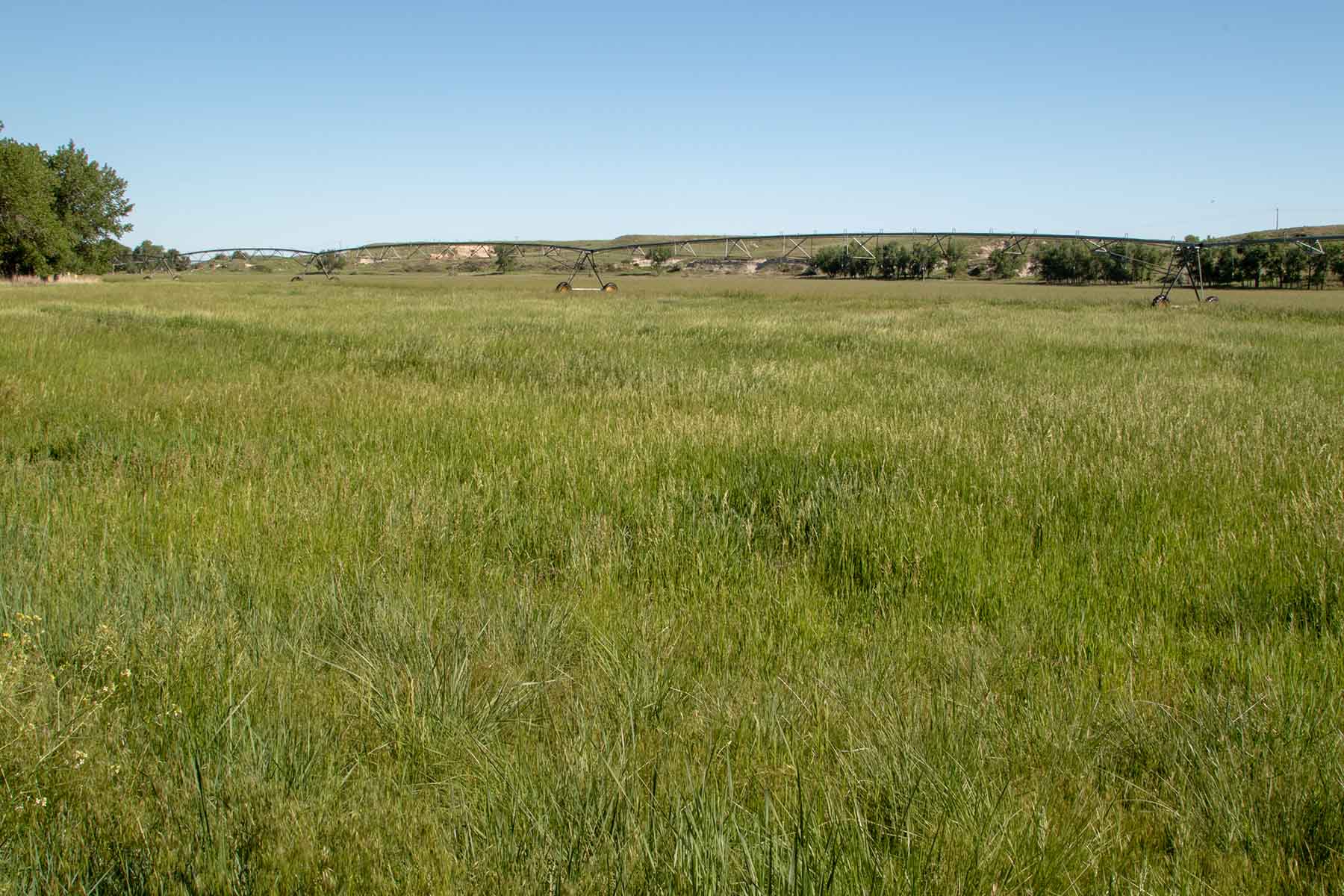 Oregon Trail River Ranch property picture 55 of 70