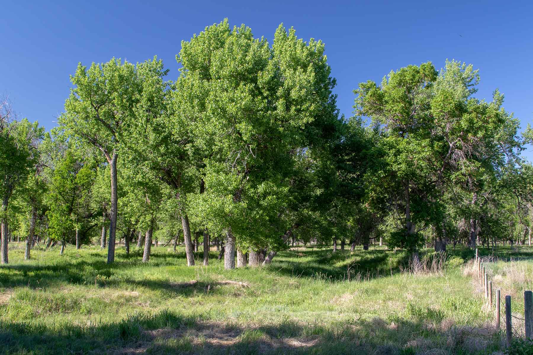 Oregon Trail River Ranch property picture 56 of 70