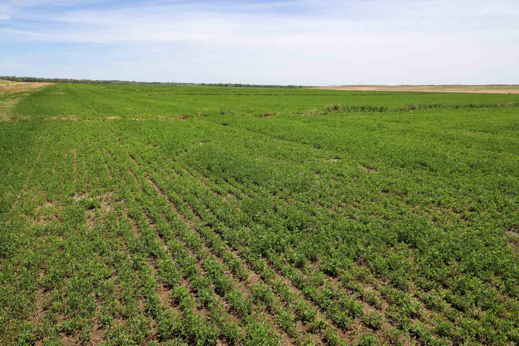 Oregon Trail River Ranch property picture 59 of 70