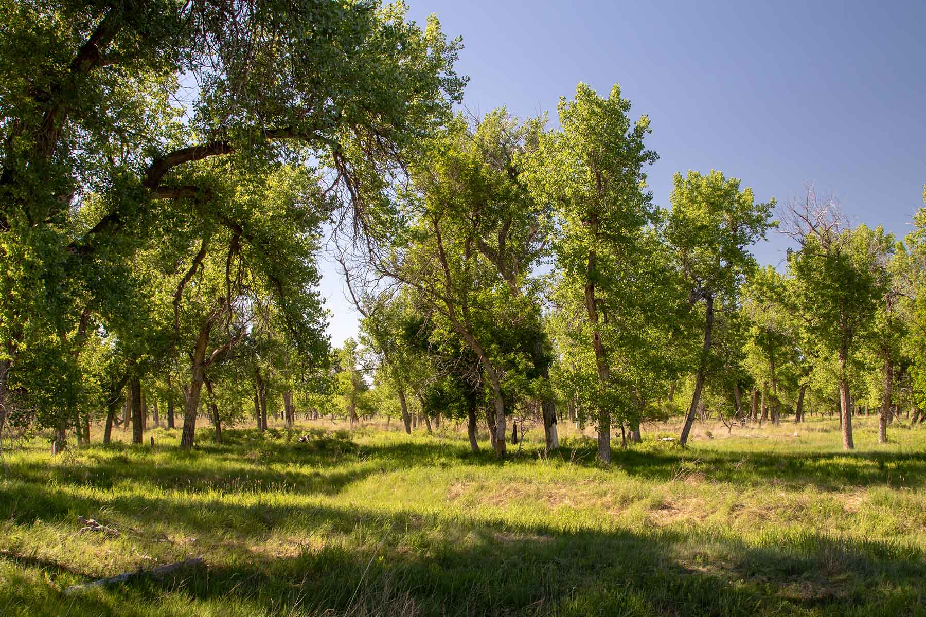 Oregon Trail River Ranch property picture 57 of 70