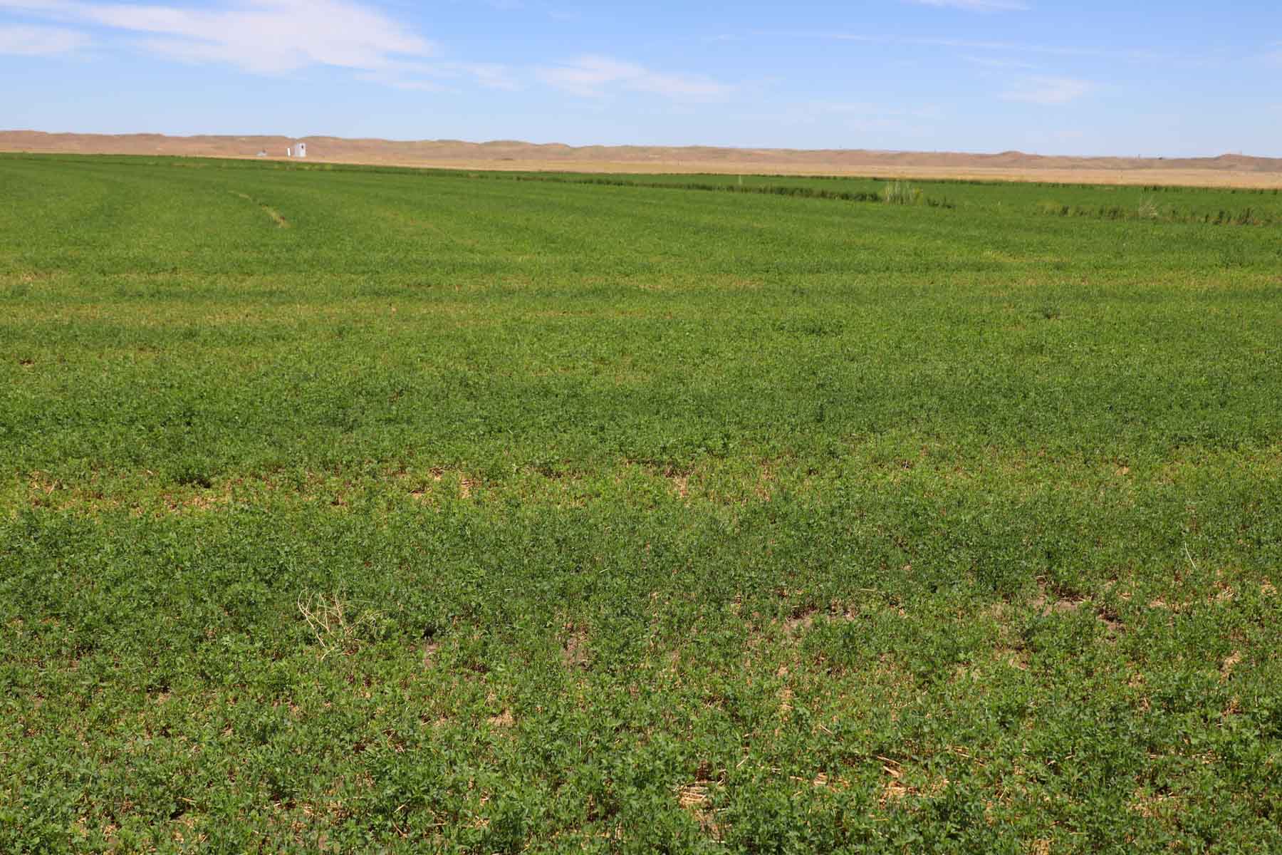 Oregon Trail River Ranch property picture 42 of 70