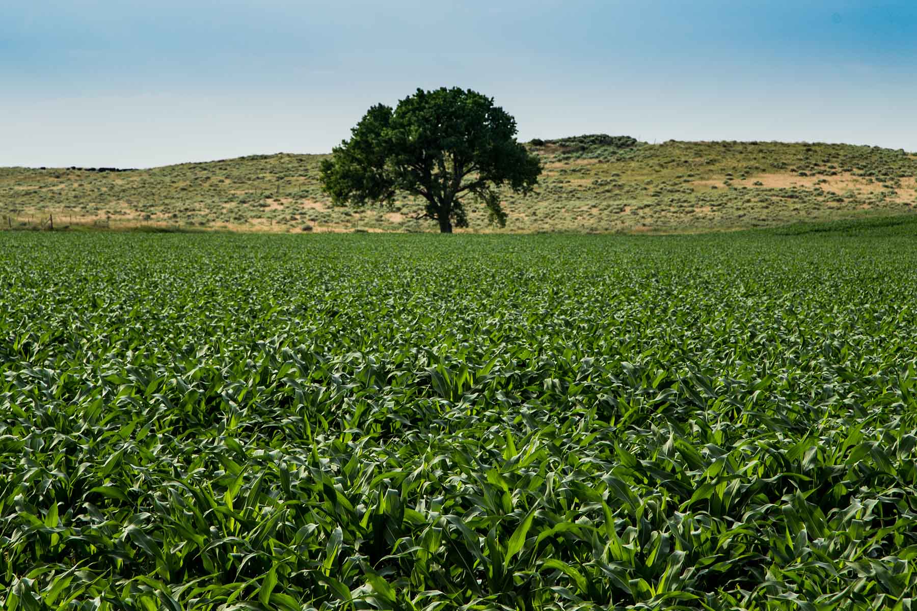 Oregon Trail River Ranch property picture 47 of 70
