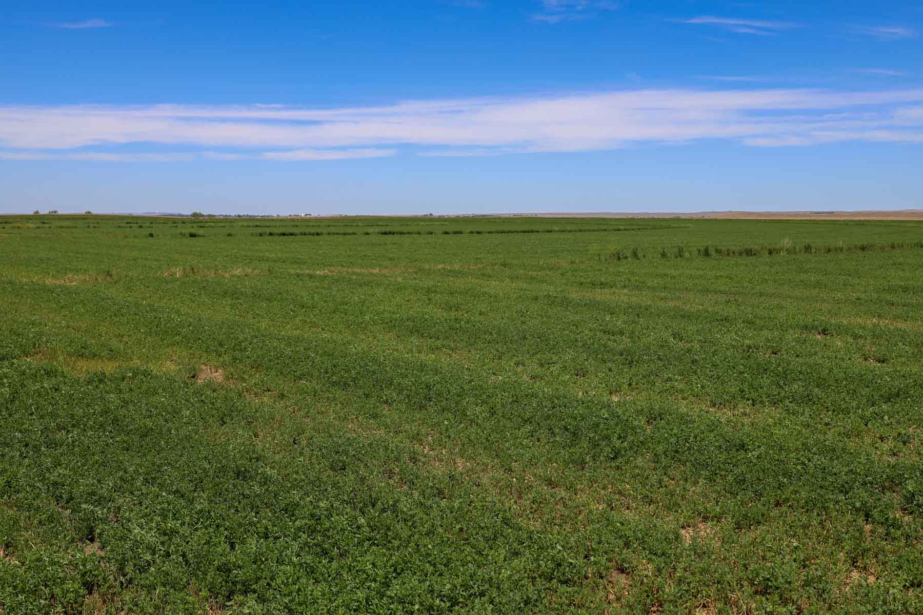 Oregon Trail River Ranch property picture 67 of 70
