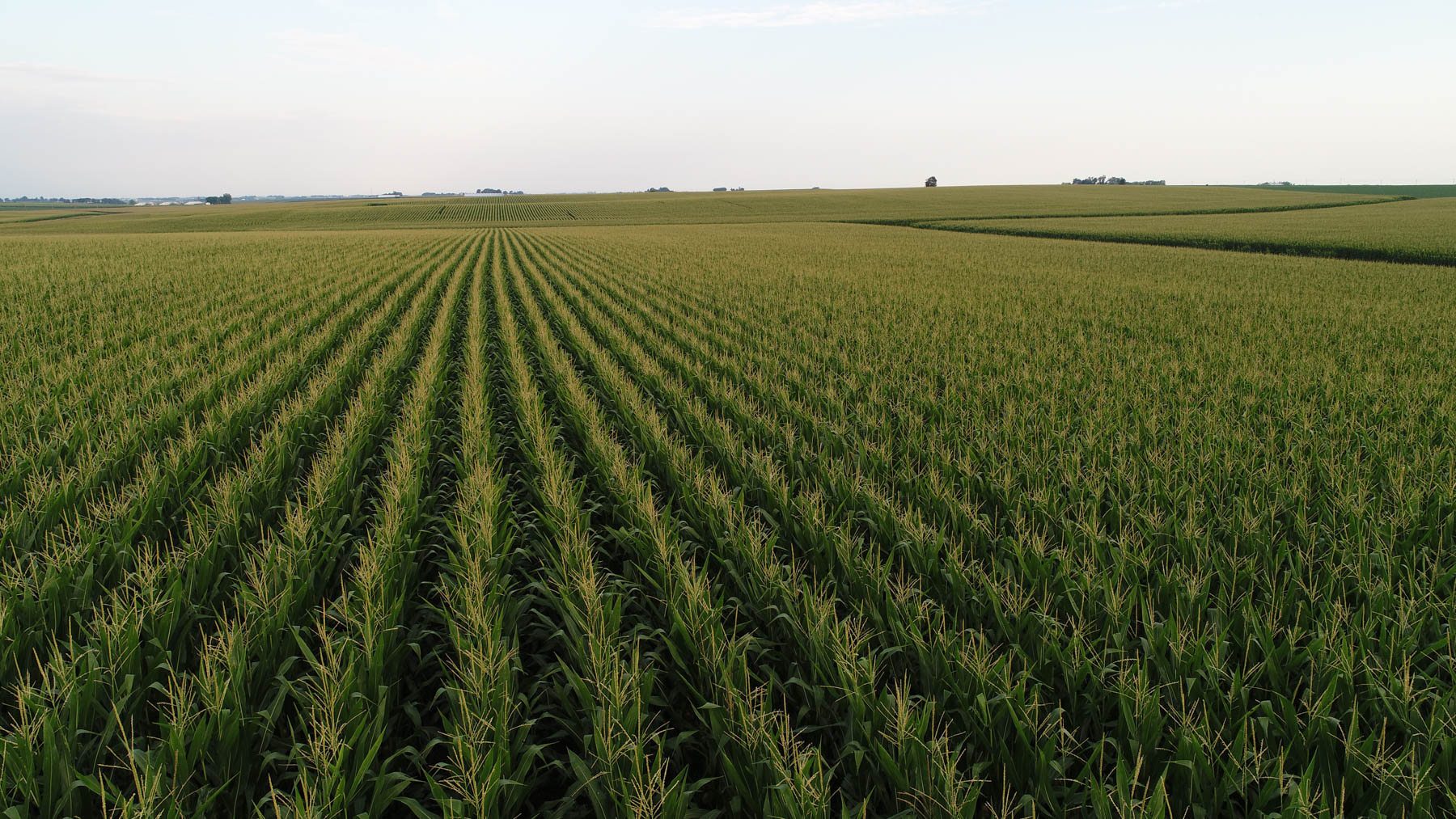 Osceola County Farmland property picture 8 of 10