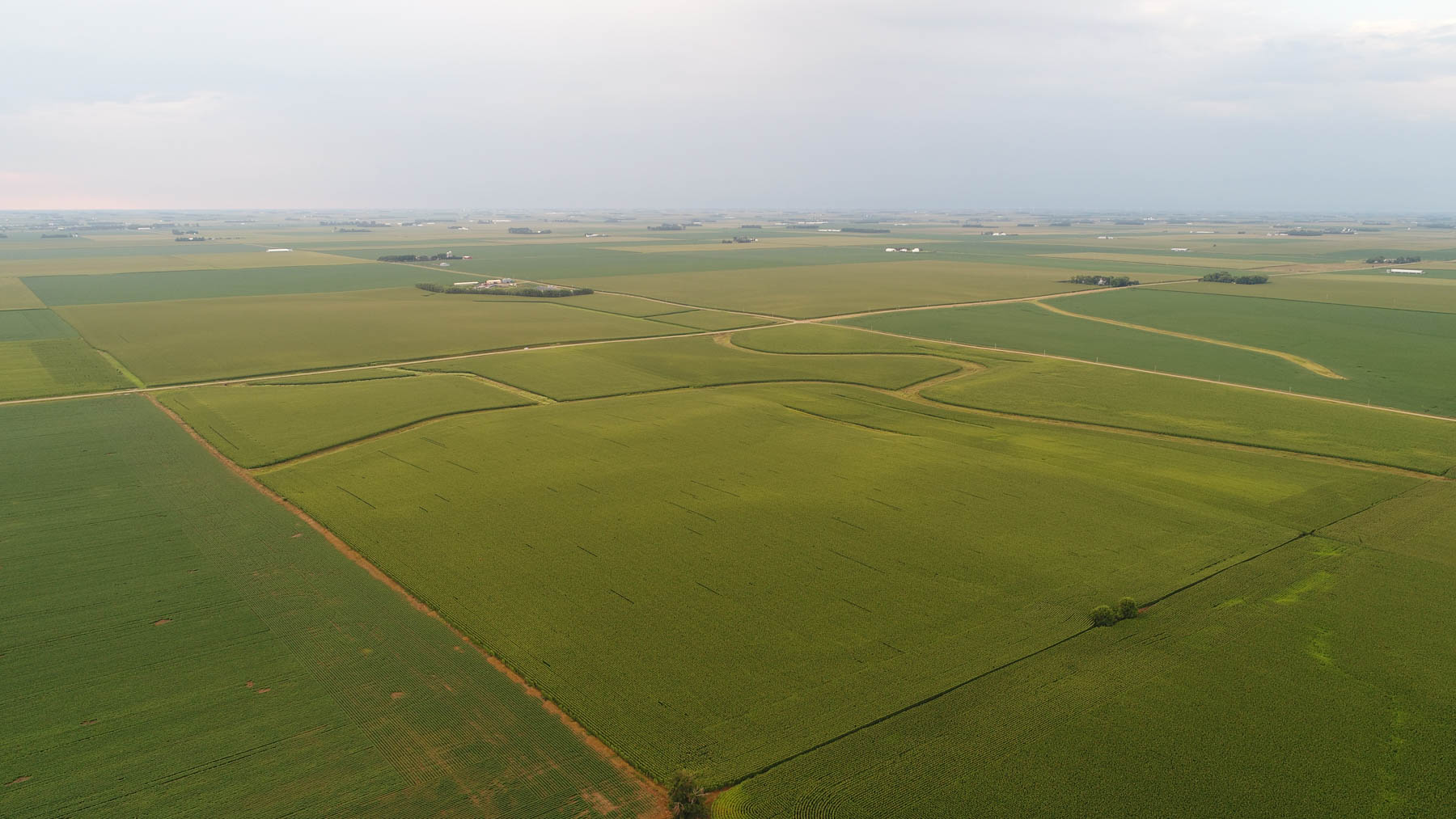 Osceola County Farmland property picture 4 of 10