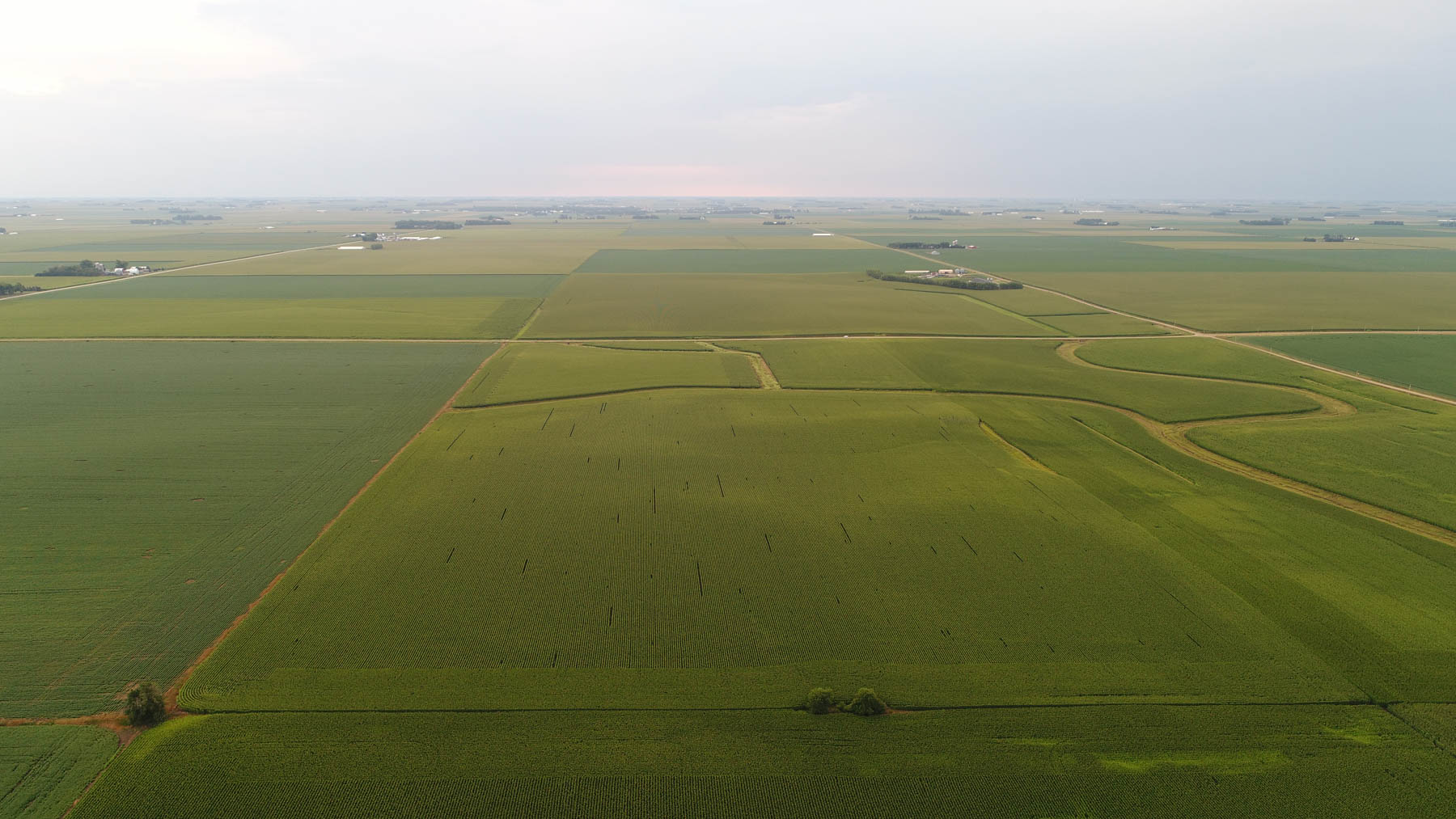 Osceola County Farmland property picture 5 of 10