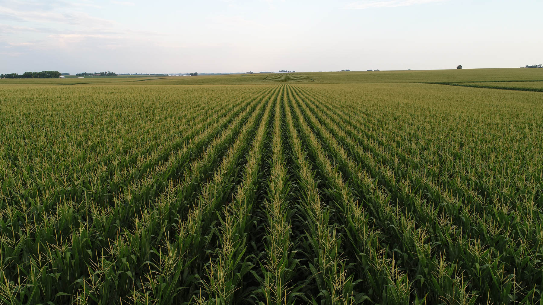 Osceola County Farmland property picture 7 of 10