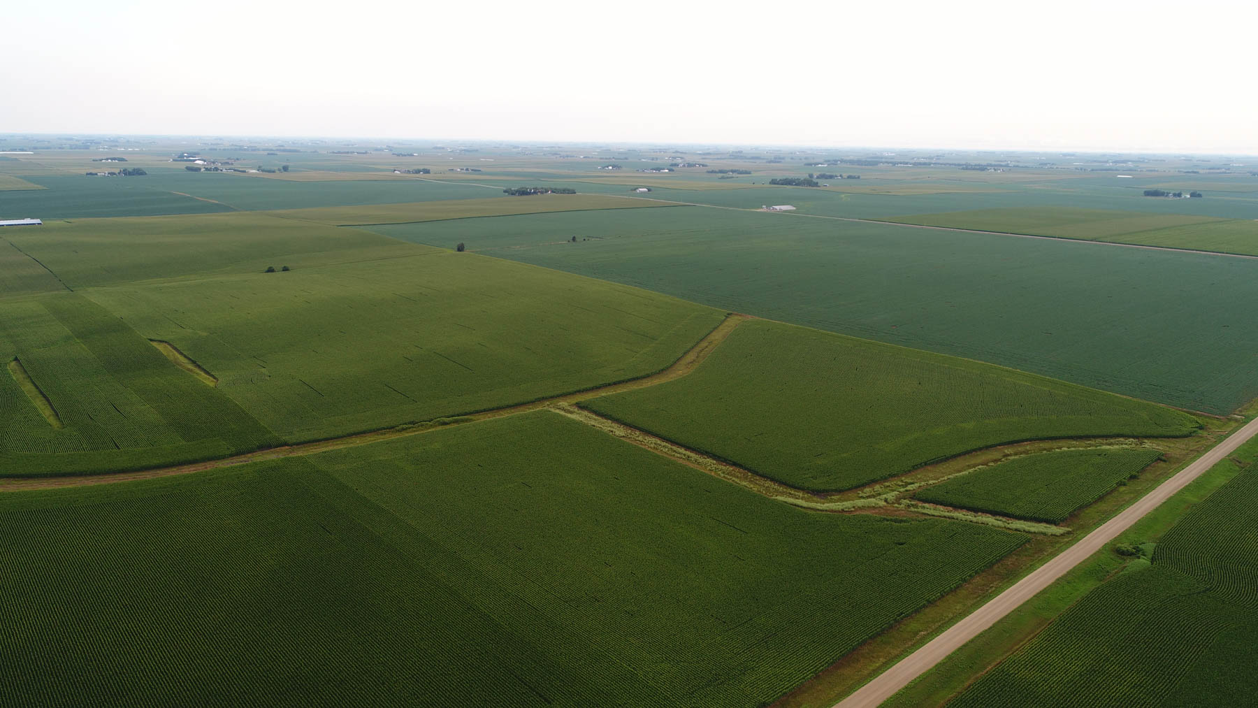 Osceola County Farmland Past Auction Iowa Hall and Hall
