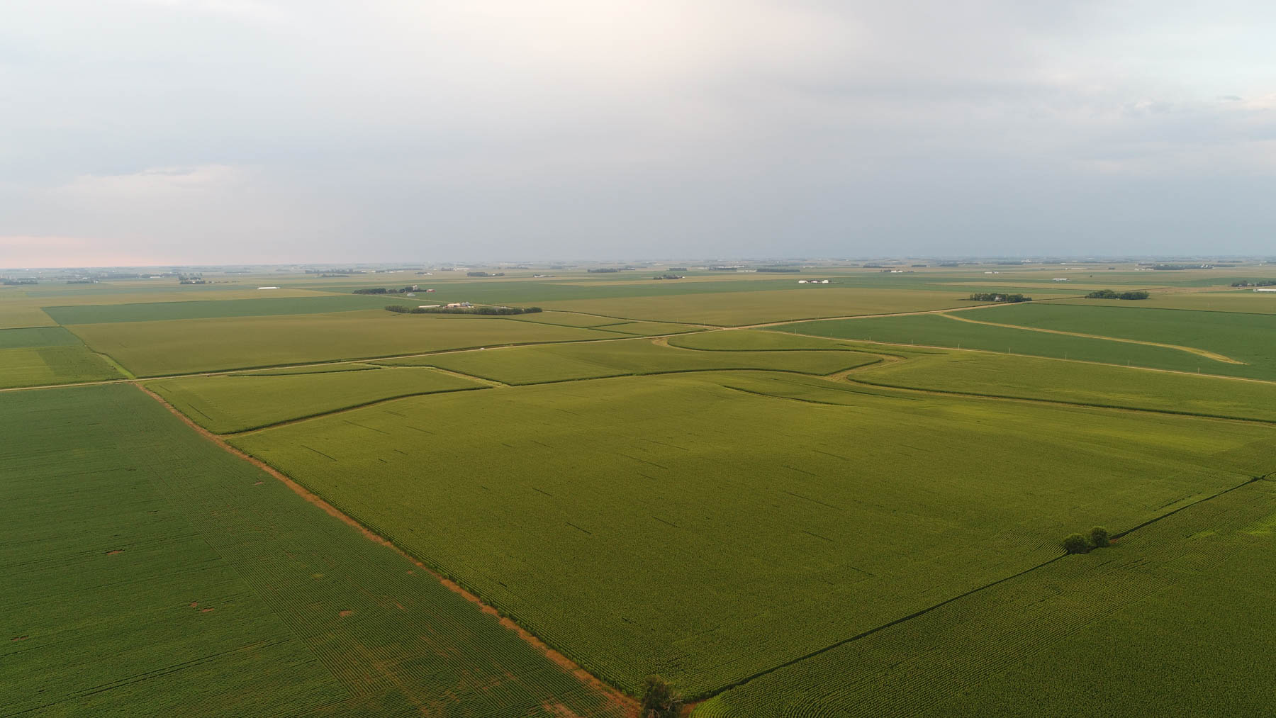 Osceola County Farmland property picture 3 of 10