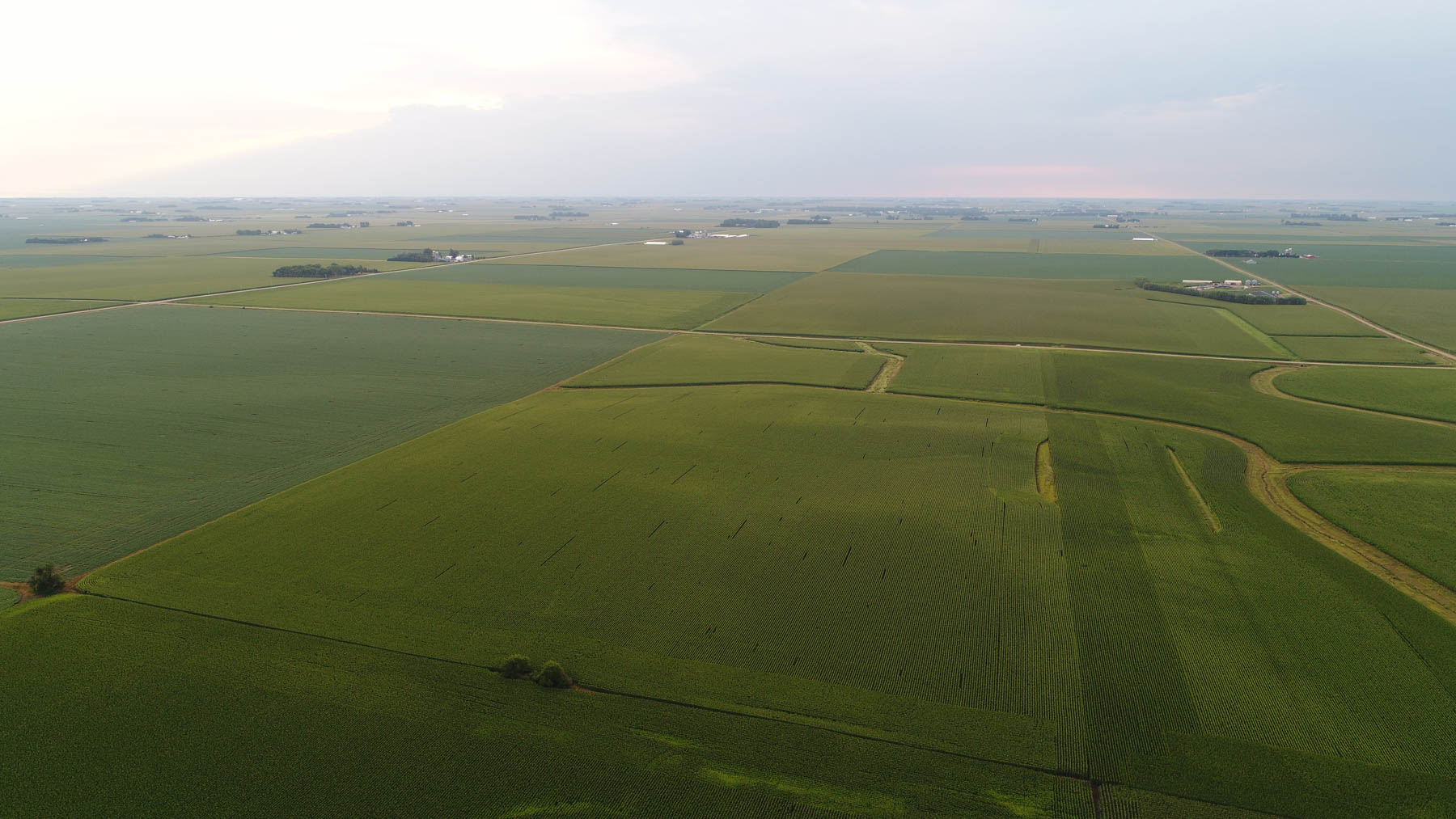 Osceola County Farmland property picture 6 of 10
