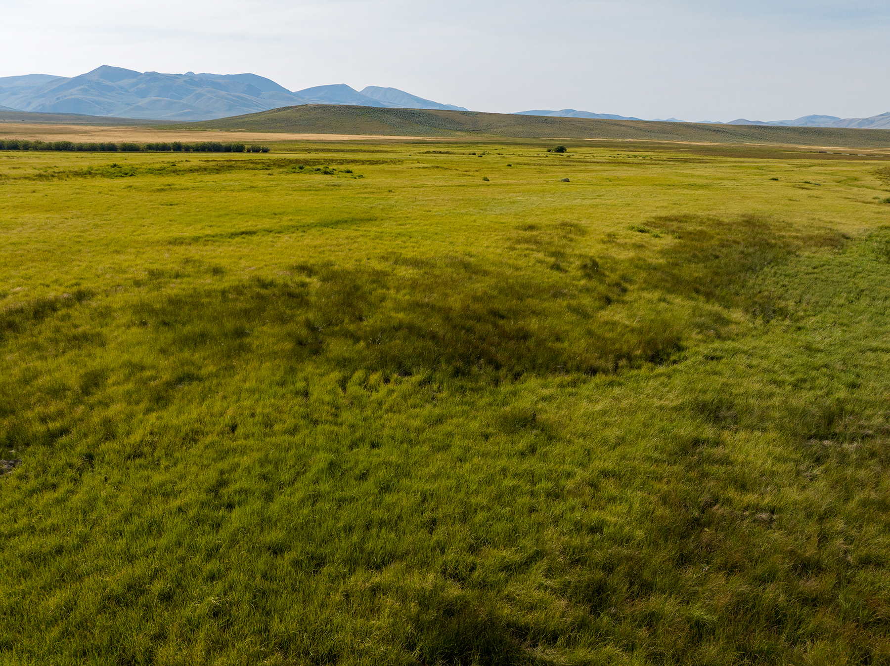 Nicholia Creek Ranch property picture 28 of 38