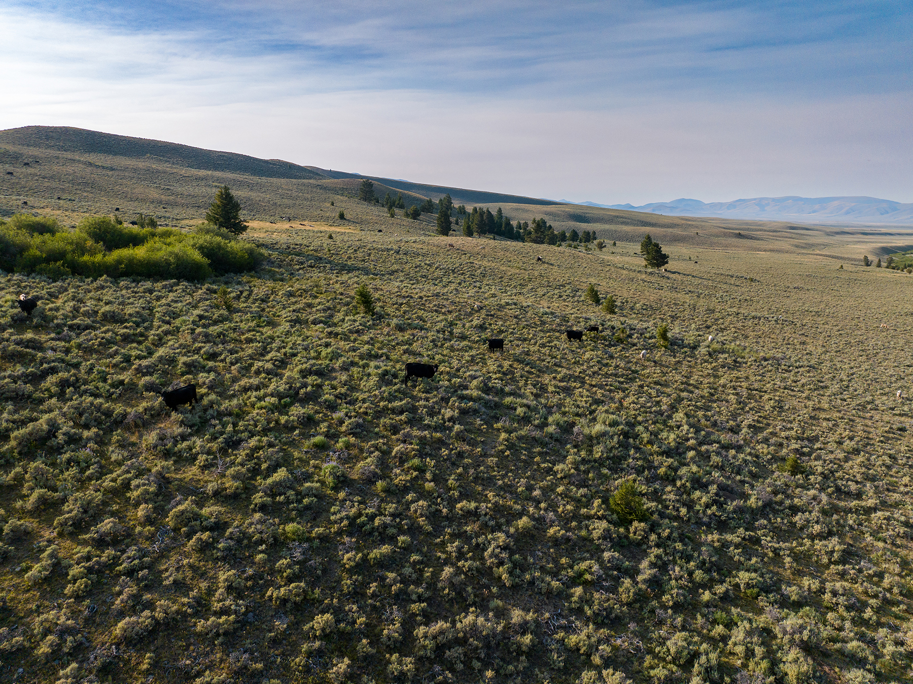 Nicholia Creek Ranch property picture 30 of 38