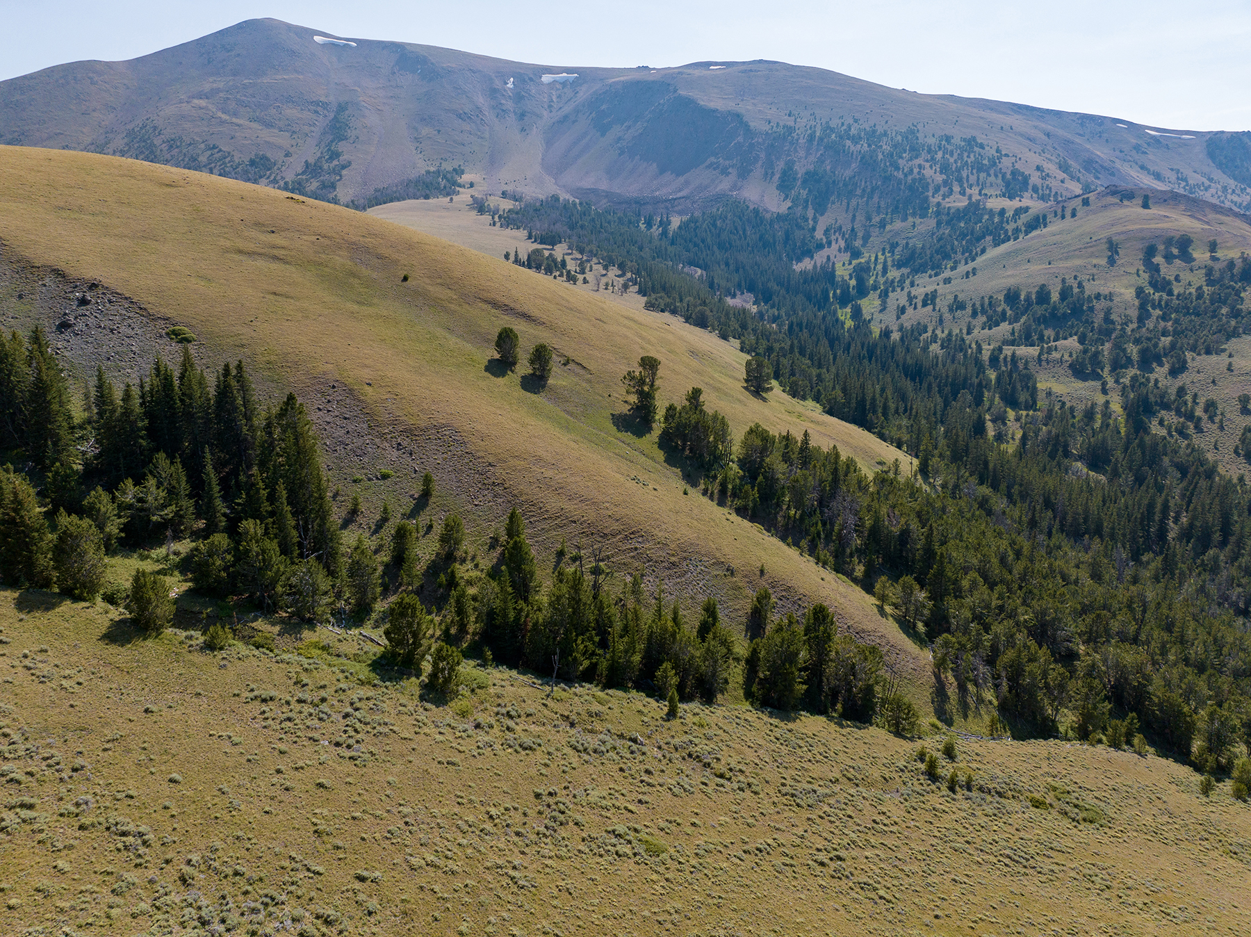 Nicholia Creek Ranch property picture 29 of 38