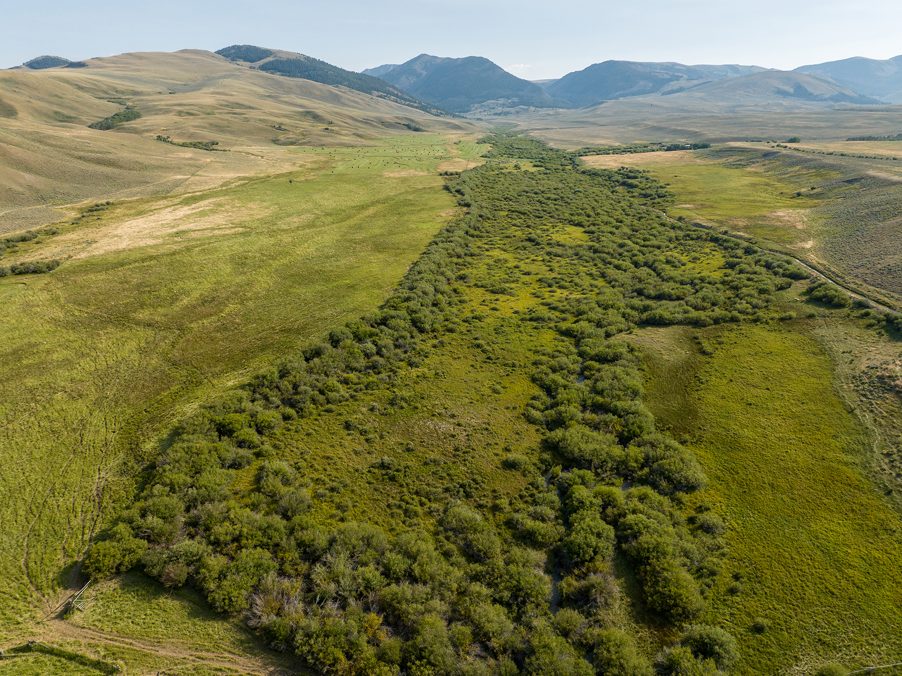 Nicholia Creek Ranch property picture 3 of 38
