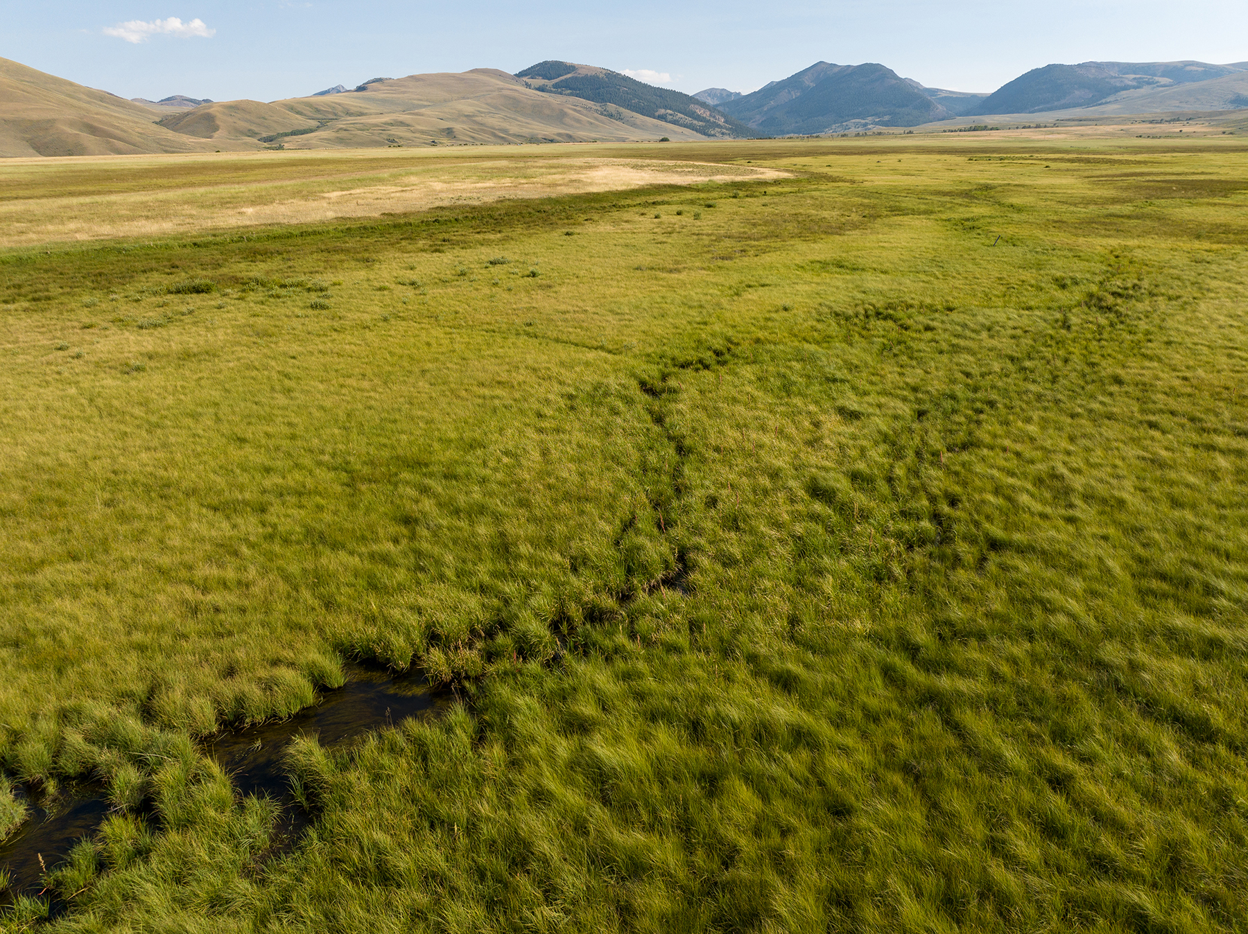 Nicholia Creek Ranch property picture 19 of 38