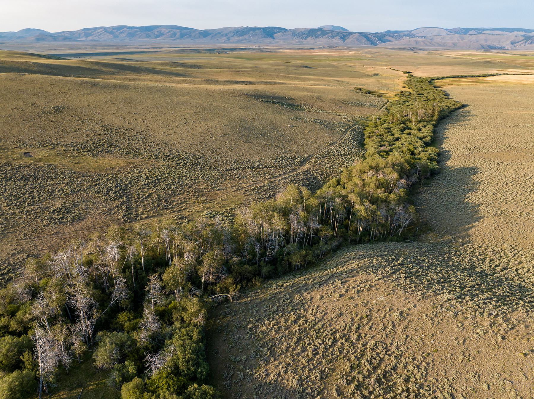 Nicholia Creek Ranch property picture 31 of 38