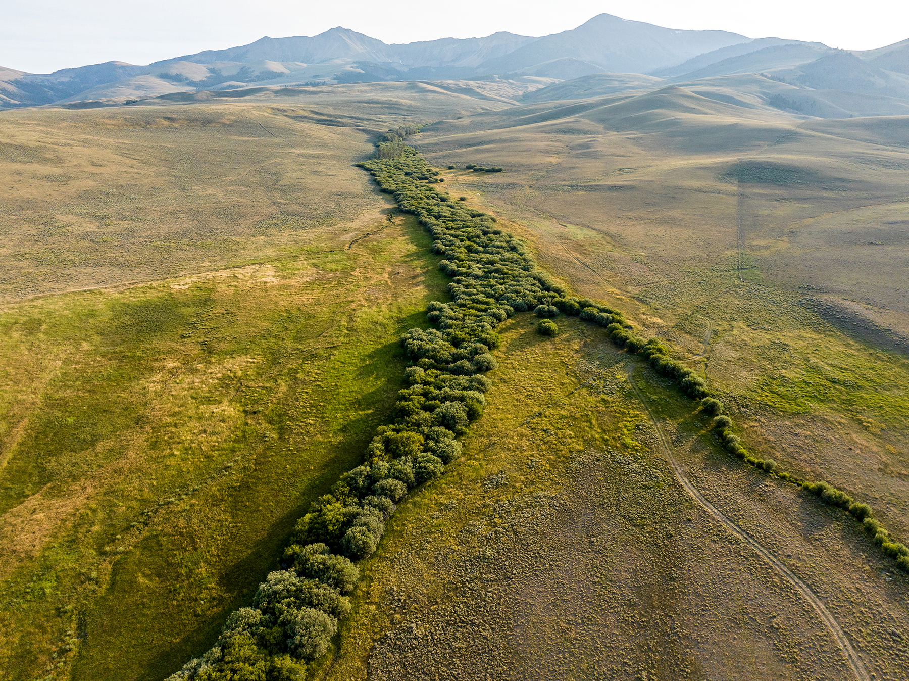 Nicholia Creek Ranch property picture 10 of 38