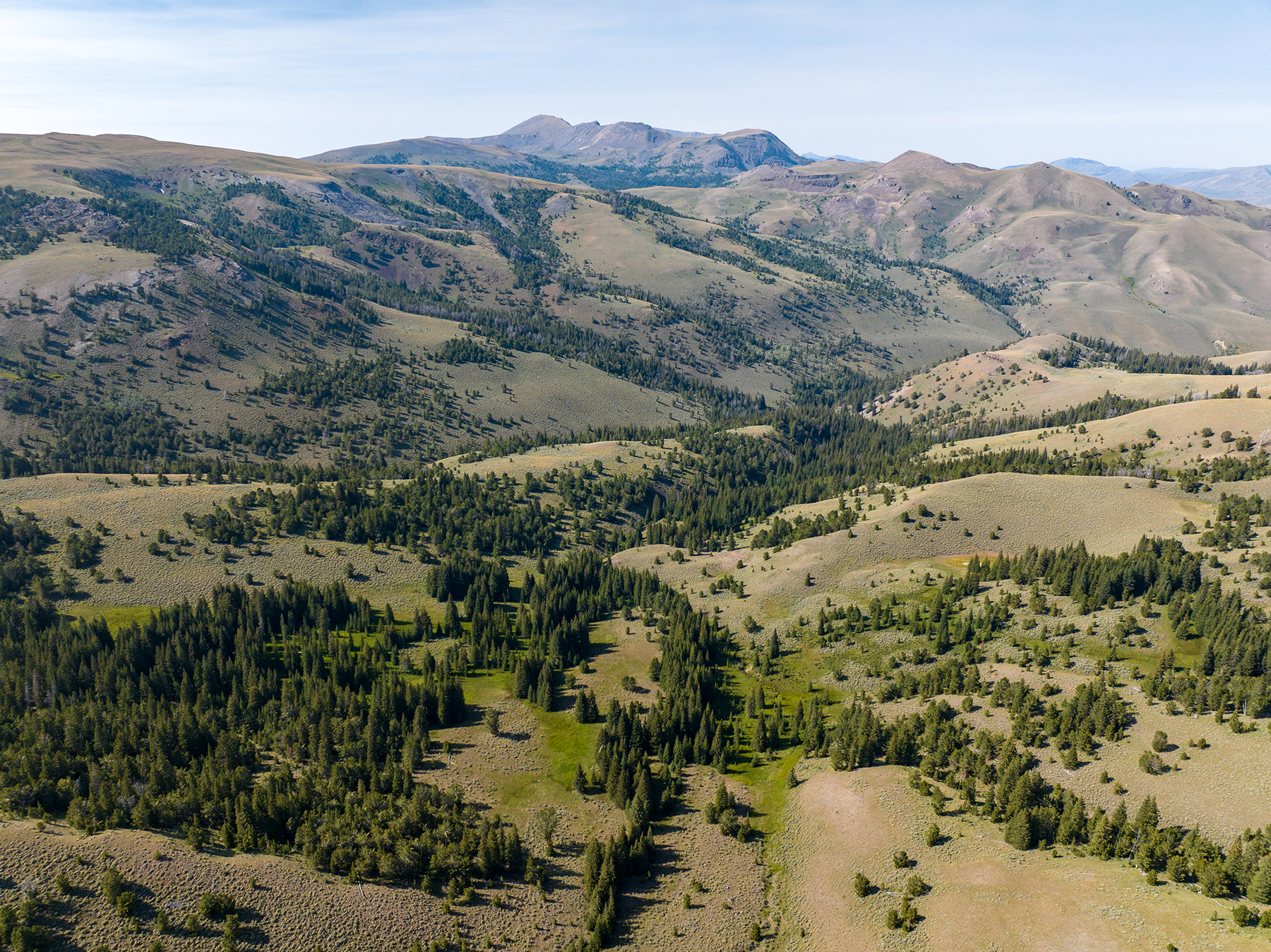 Nicholia Creek Ranch property picture 2 of 38