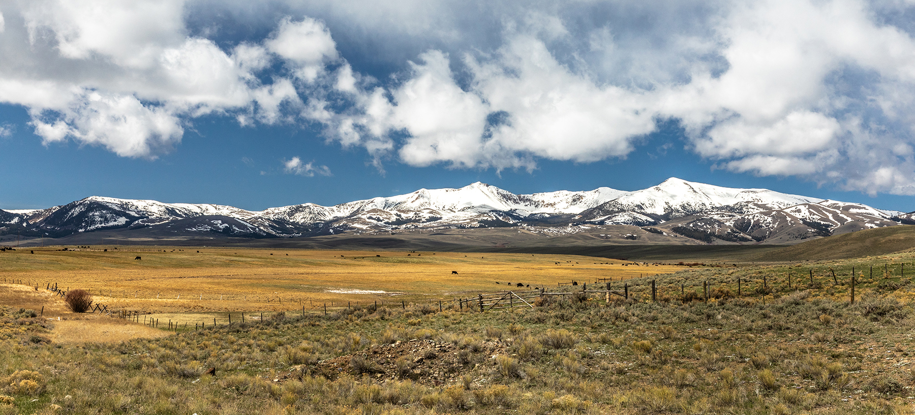 Nicholia Creek Ranch property picture 38 of 38