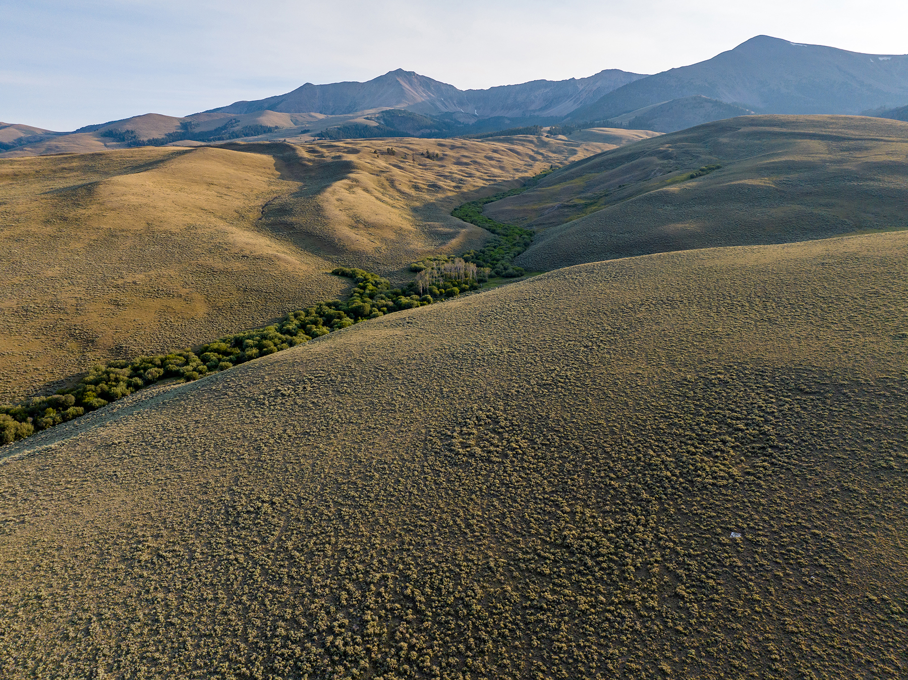 Nicholia Creek Ranch property picture 35 of 38