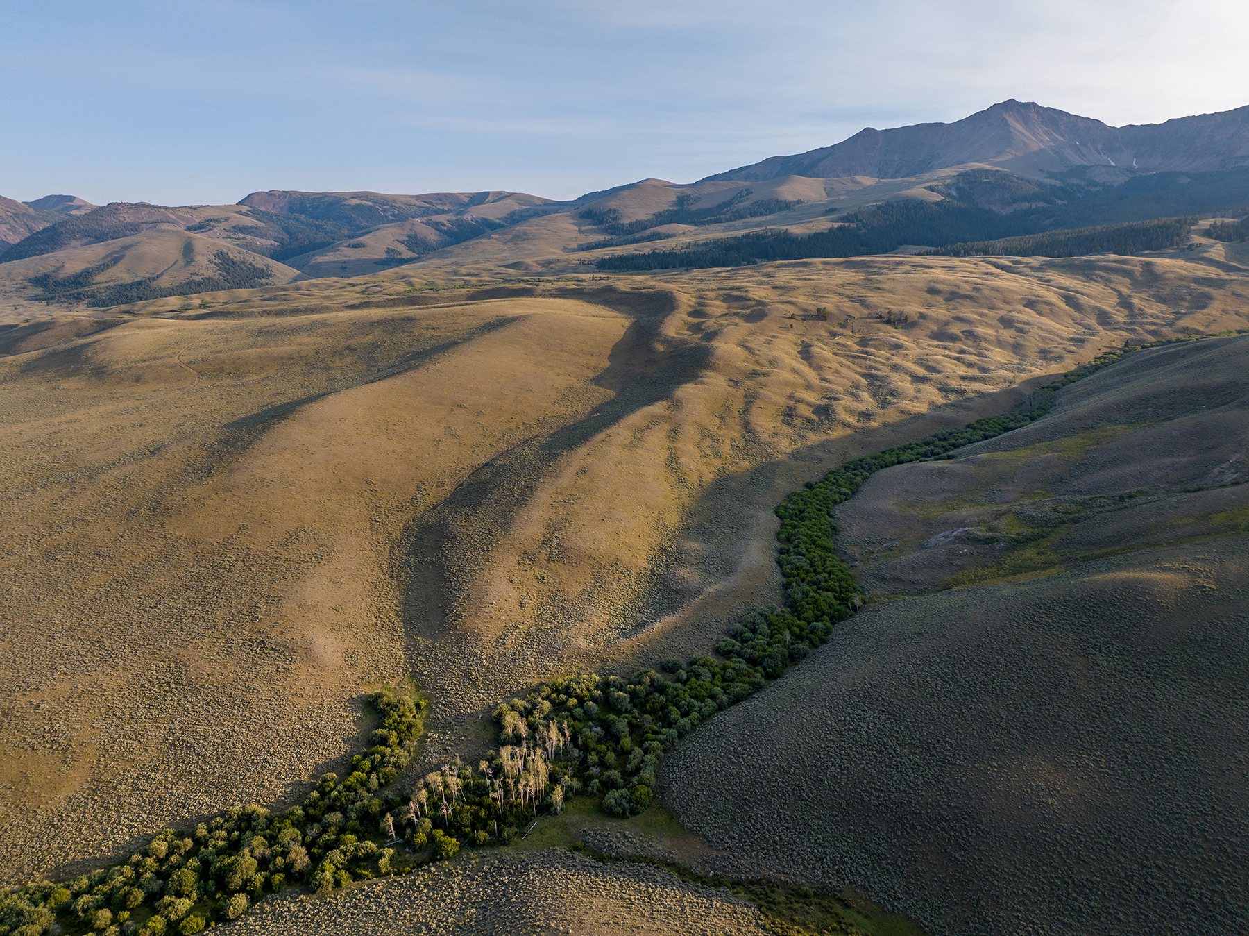 Nicholia Creek Ranch property picture 15 of 38