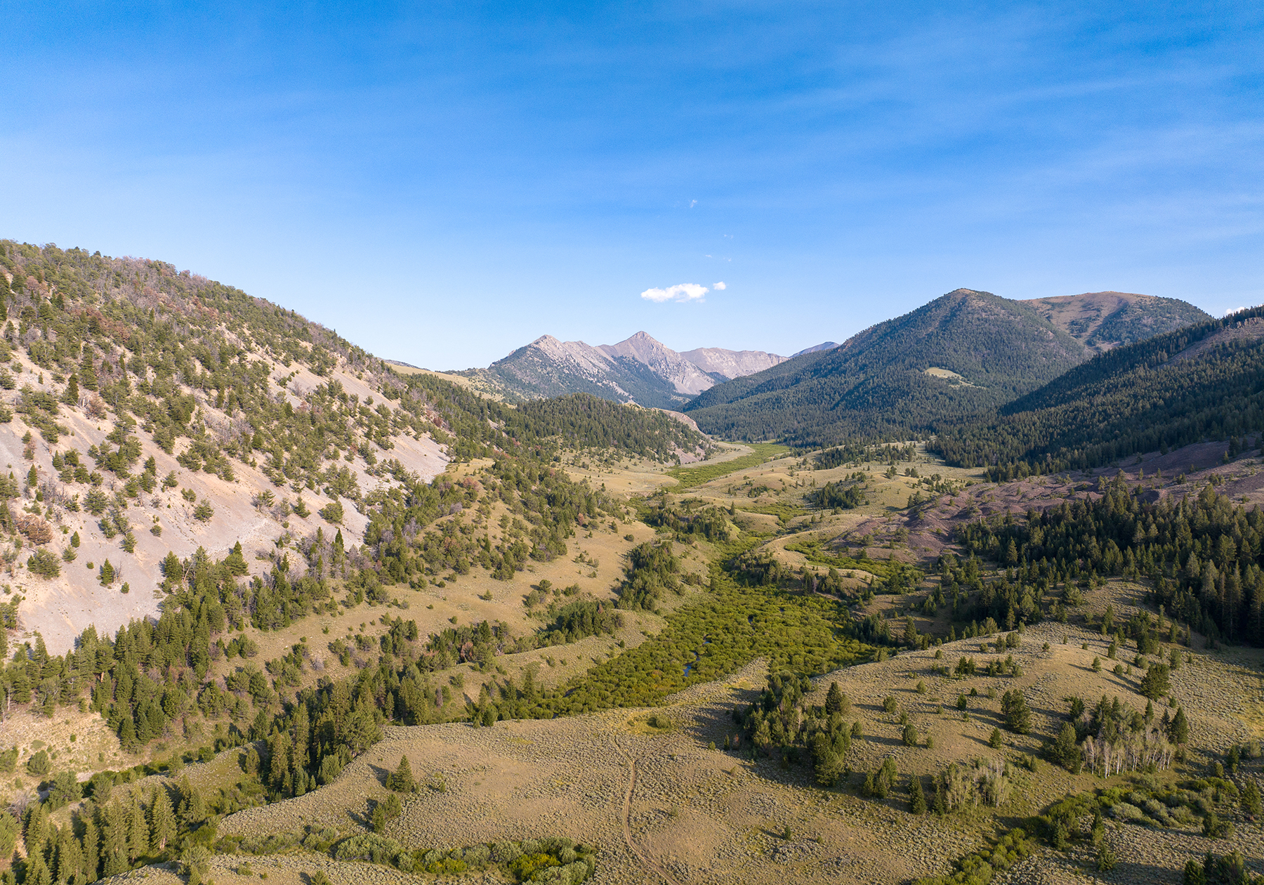 Nicholia Creek Ranch property picture 7 of 38