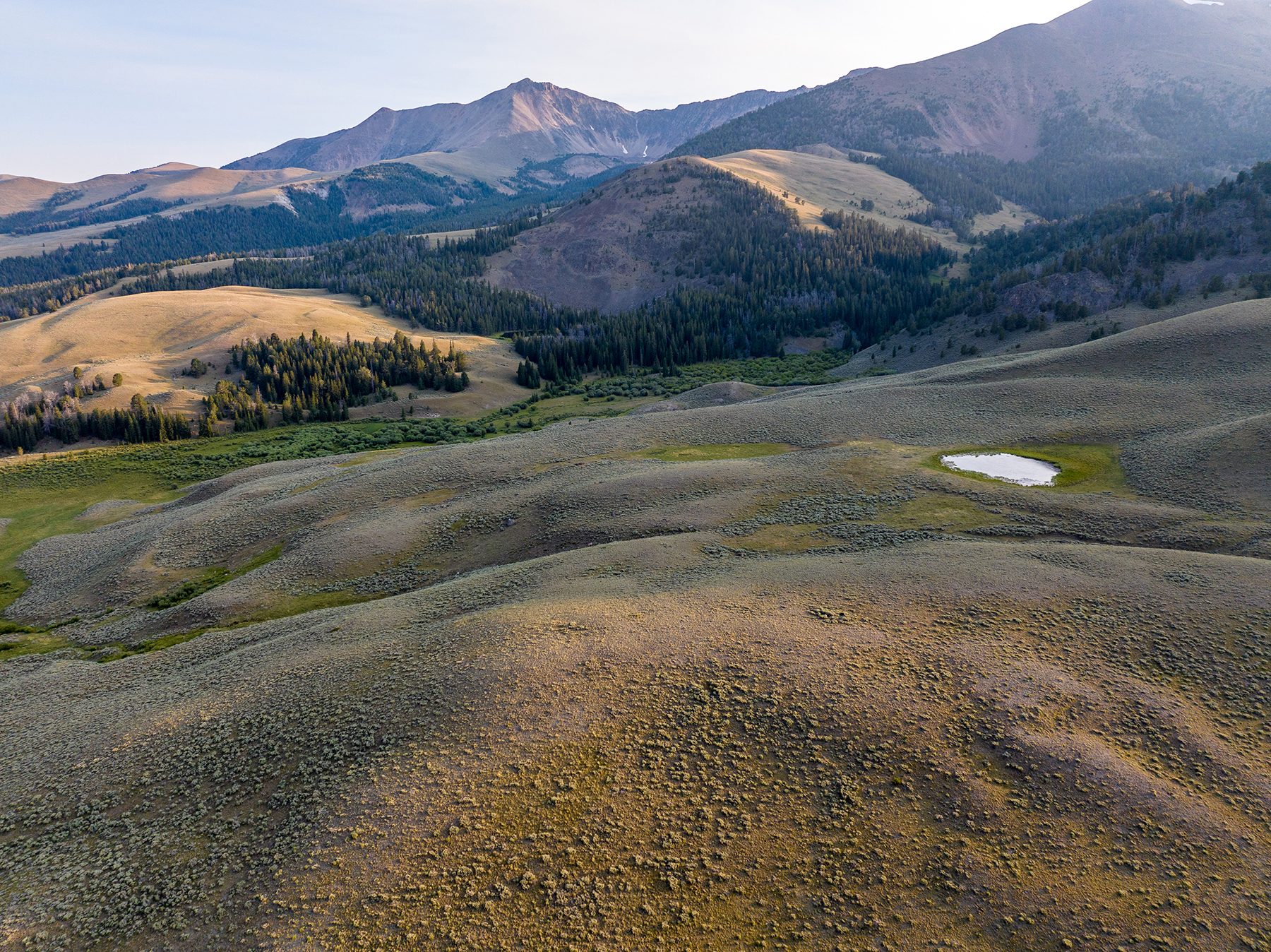 Nicholia Creek Ranch property picture 33 of 38