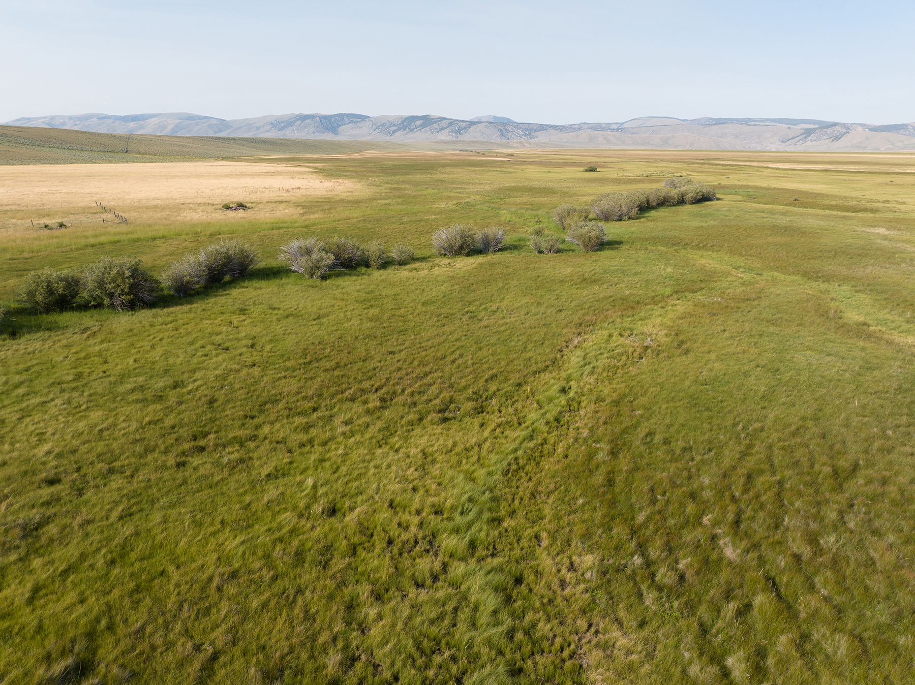 Nicholia Creek Ranch property picture 32 of 38