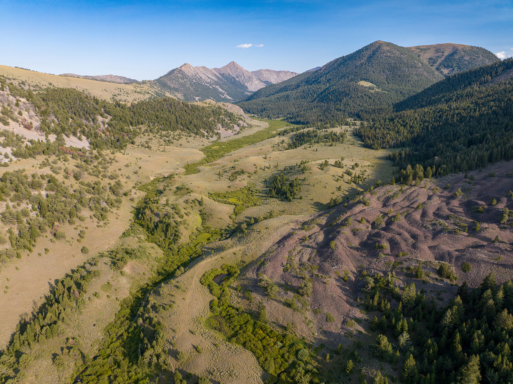 Nicholia Creek Ranch property picture 23 of 38