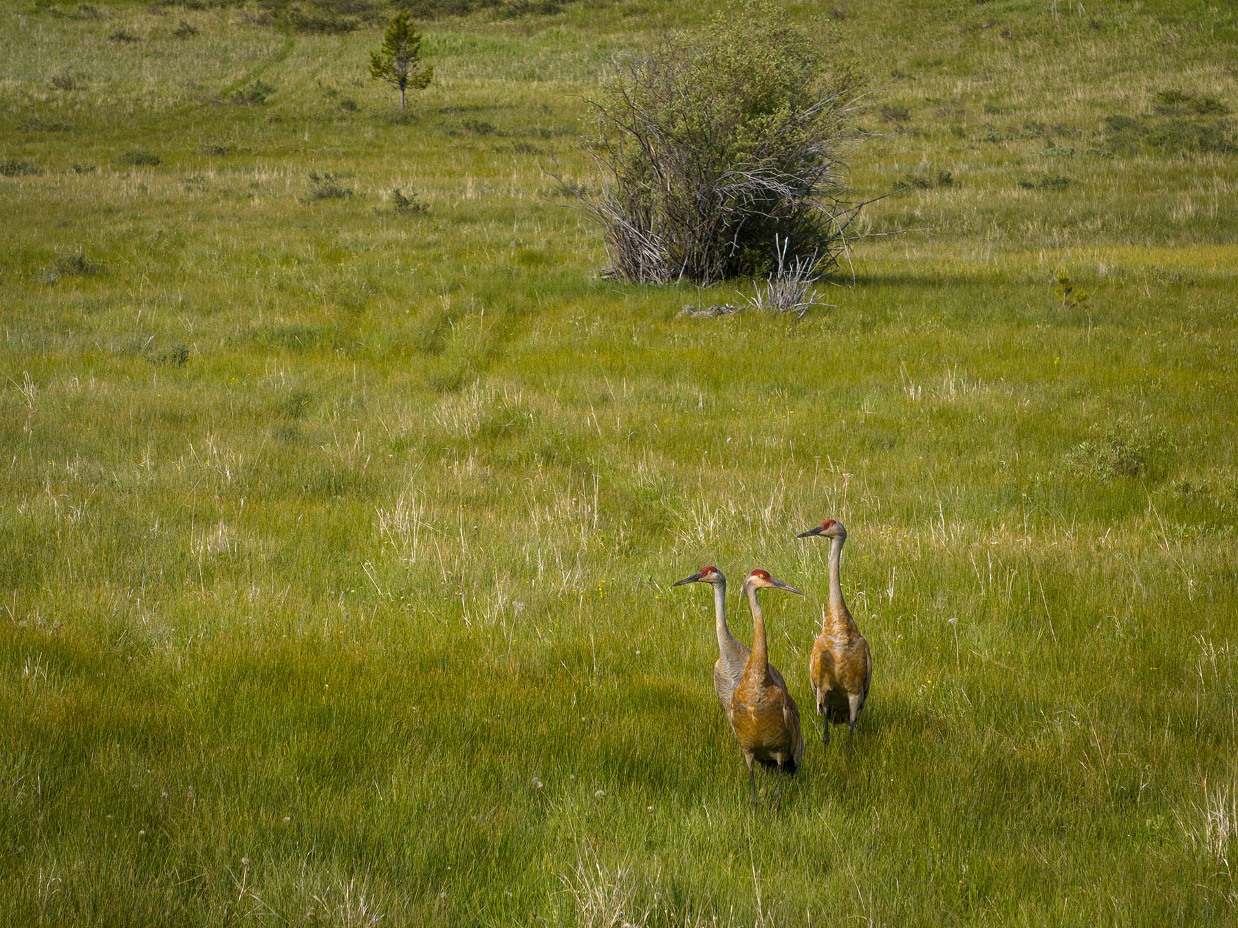 Lewis and Clark Trail Ranch property picture 39 of 45
