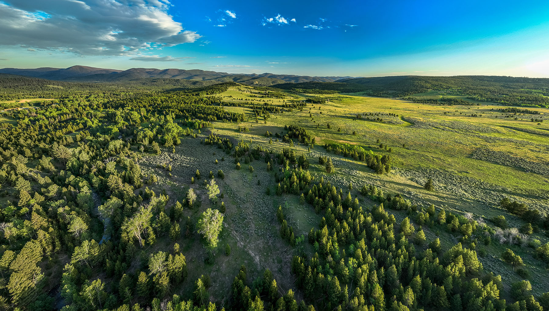 Lewis and Clark Trail Ranch property picture 28 of 45