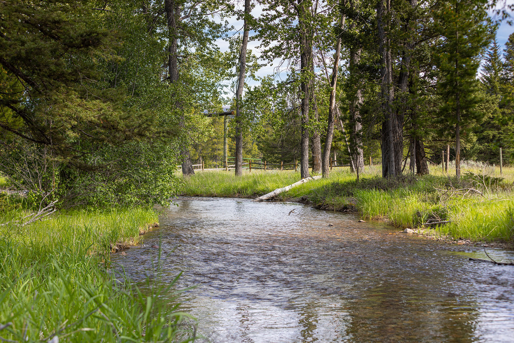 Lewis and Clark Trail Ranch property picture 6 of 45