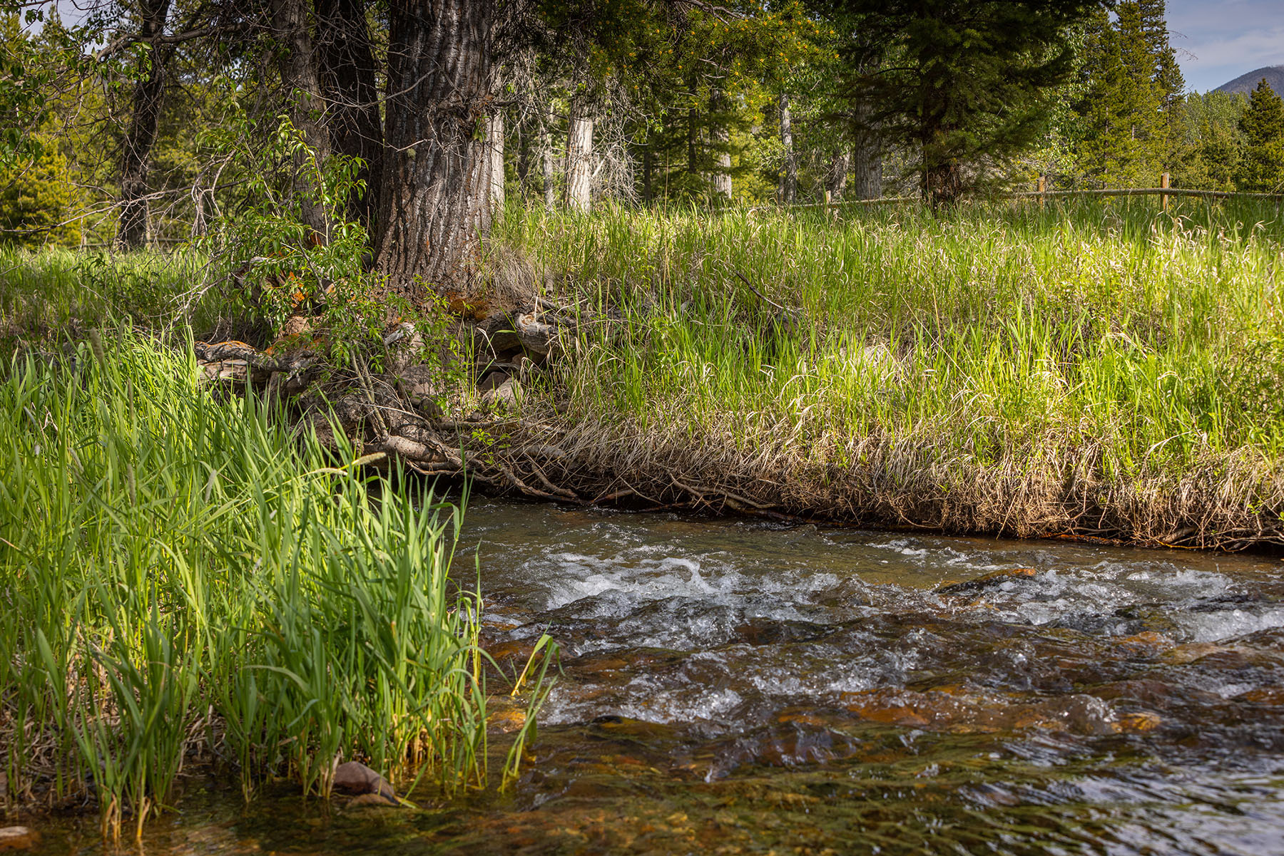 Lewis and Clark Trail Ranch property picture 31 of 45