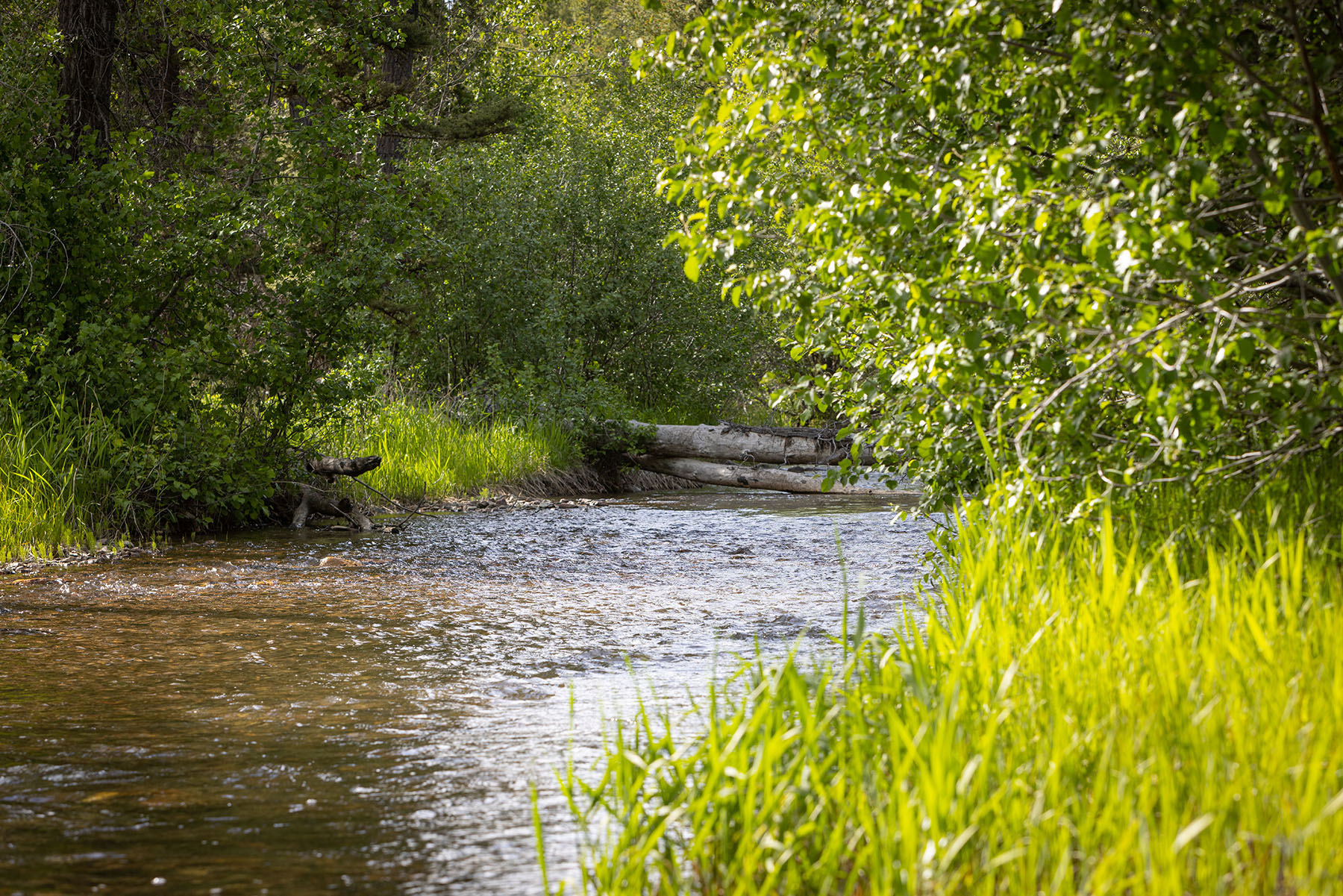Lewis and Clark Trail Ranch property picture 36 of 45
