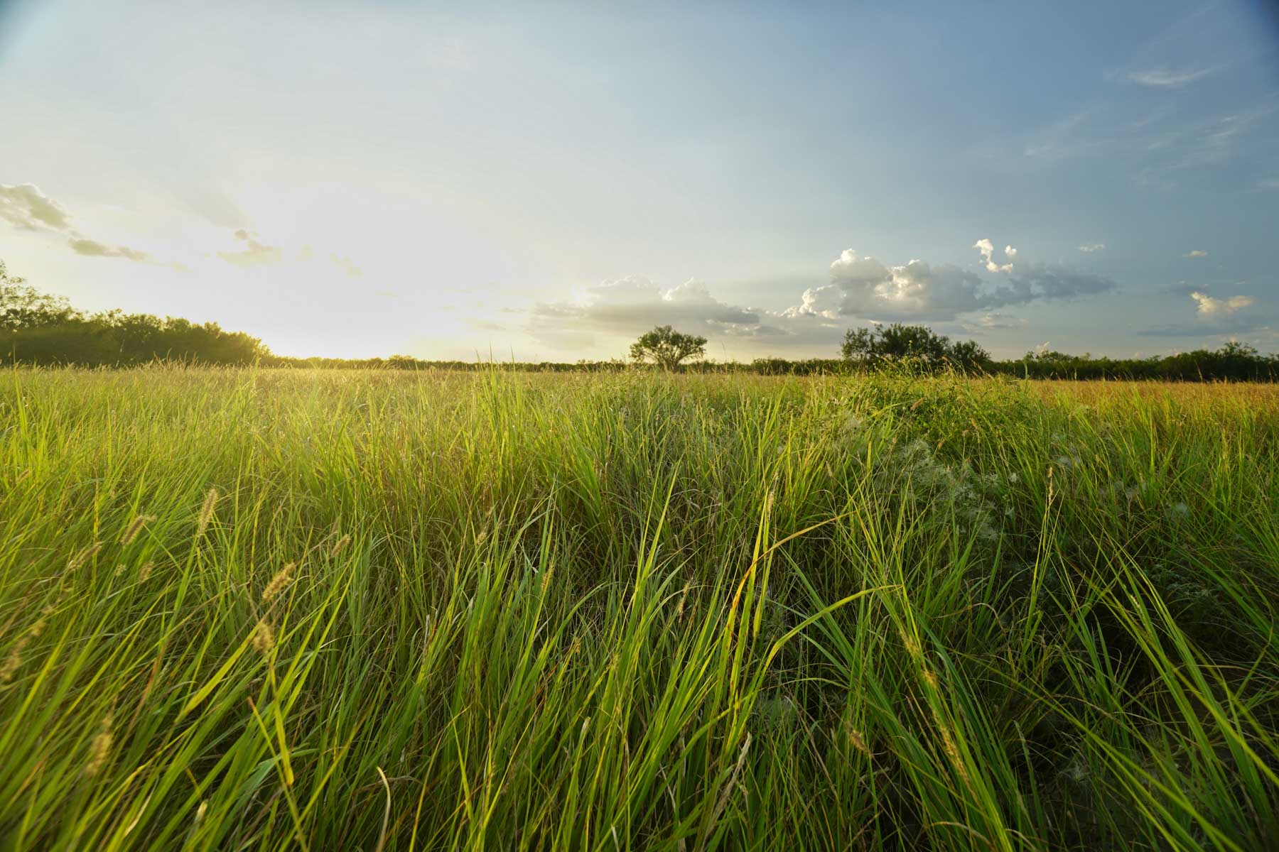 La Esperanza Ranch property picture 4 of 17