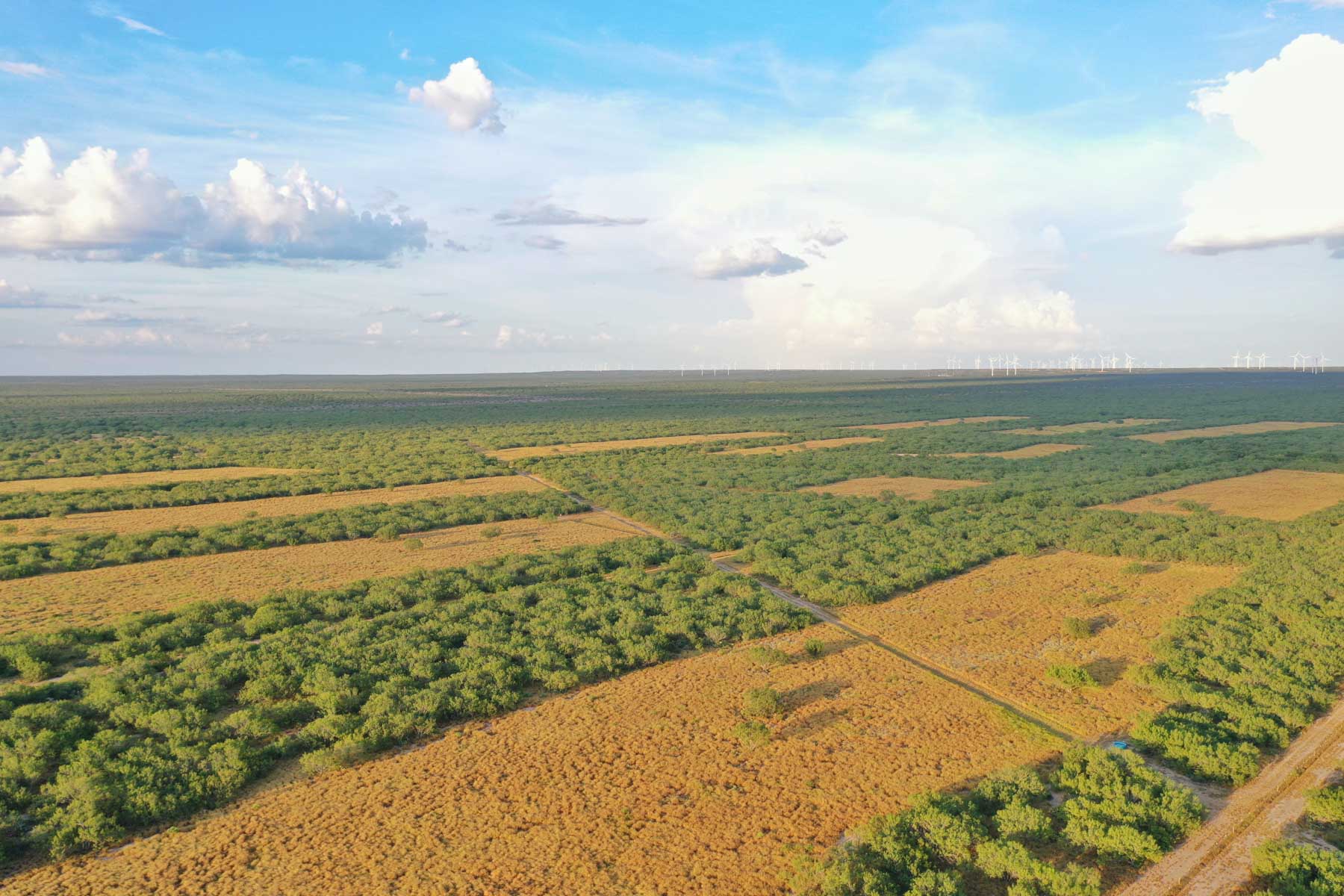 La Esperanza Ranch property picture 6 of 17