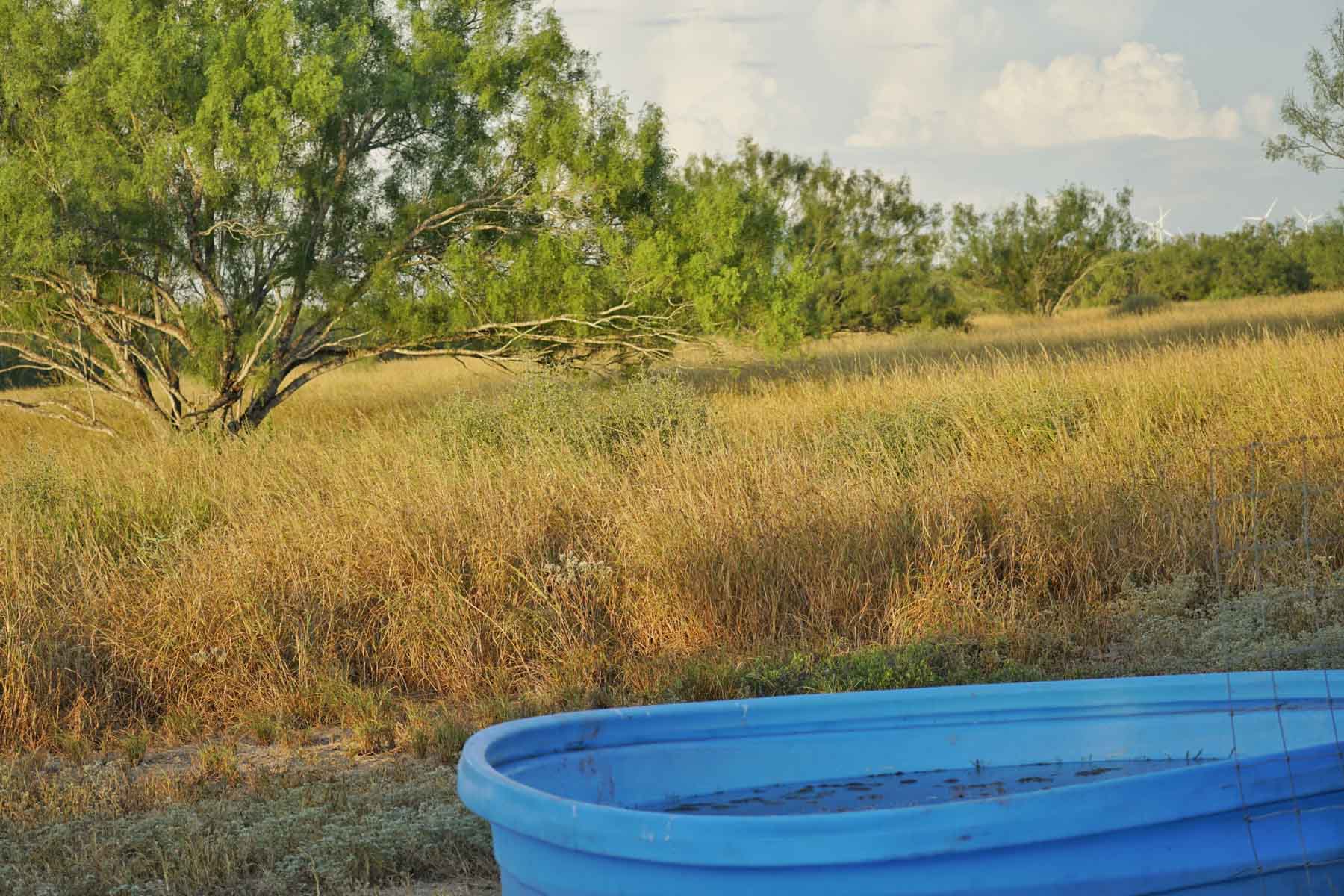 La Esperanza Ranch property picture 12 of 17