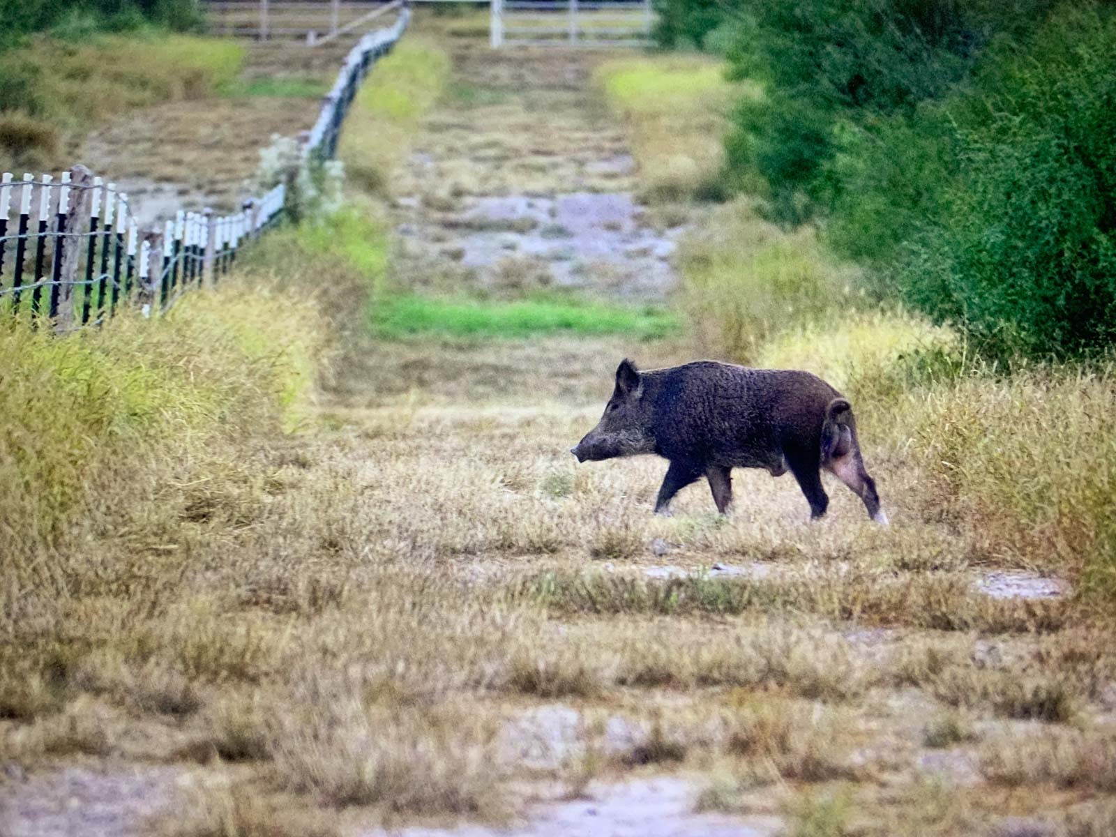 La Esperanza Ranch property picture 7 of 17