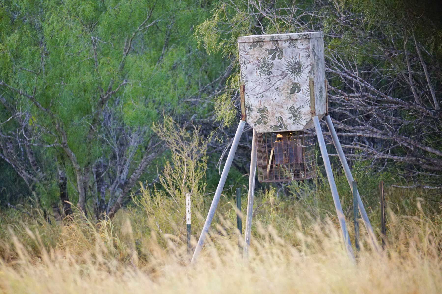 La Esperanza Ranch property picture 10 of 17