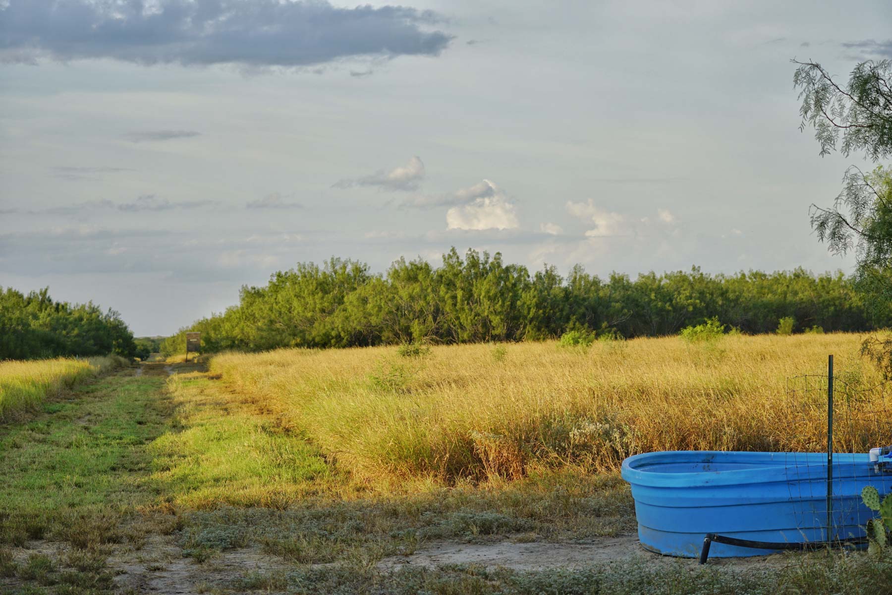 La Esperanza Ranch property picture 11 of 17