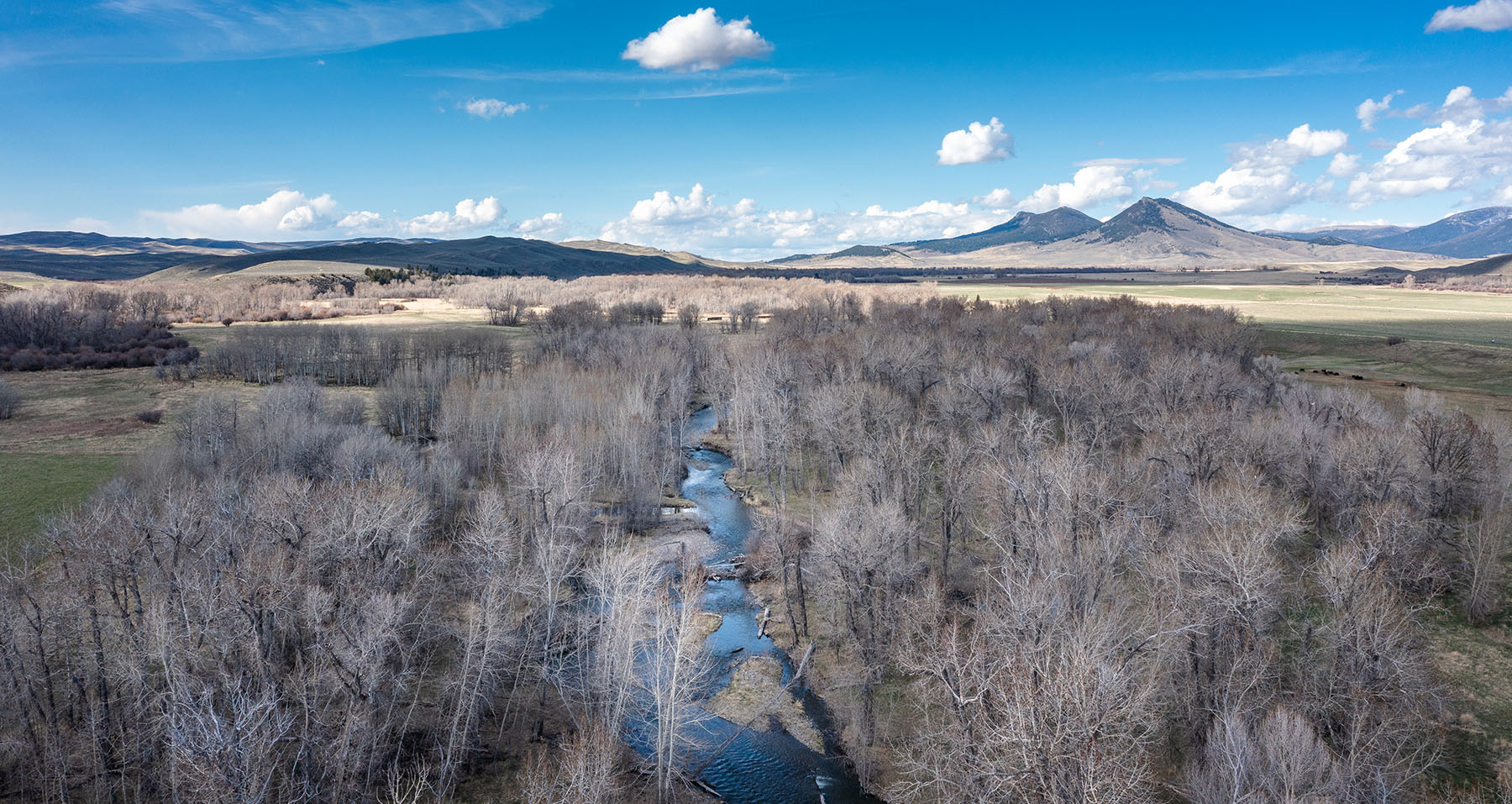 Shields Retreat property picture 12 of 16
