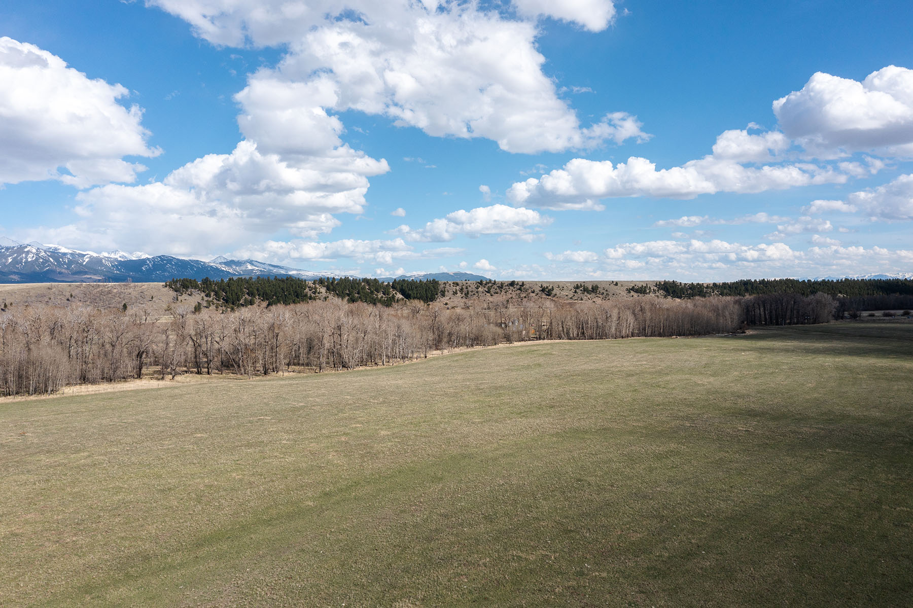 Shields Retreat property picture 11 of 16