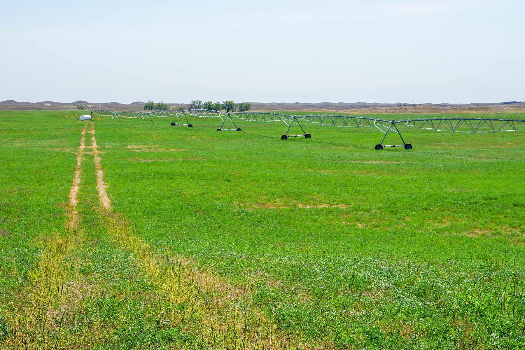 WM Zutavern Ranch property picture 17 of 53
