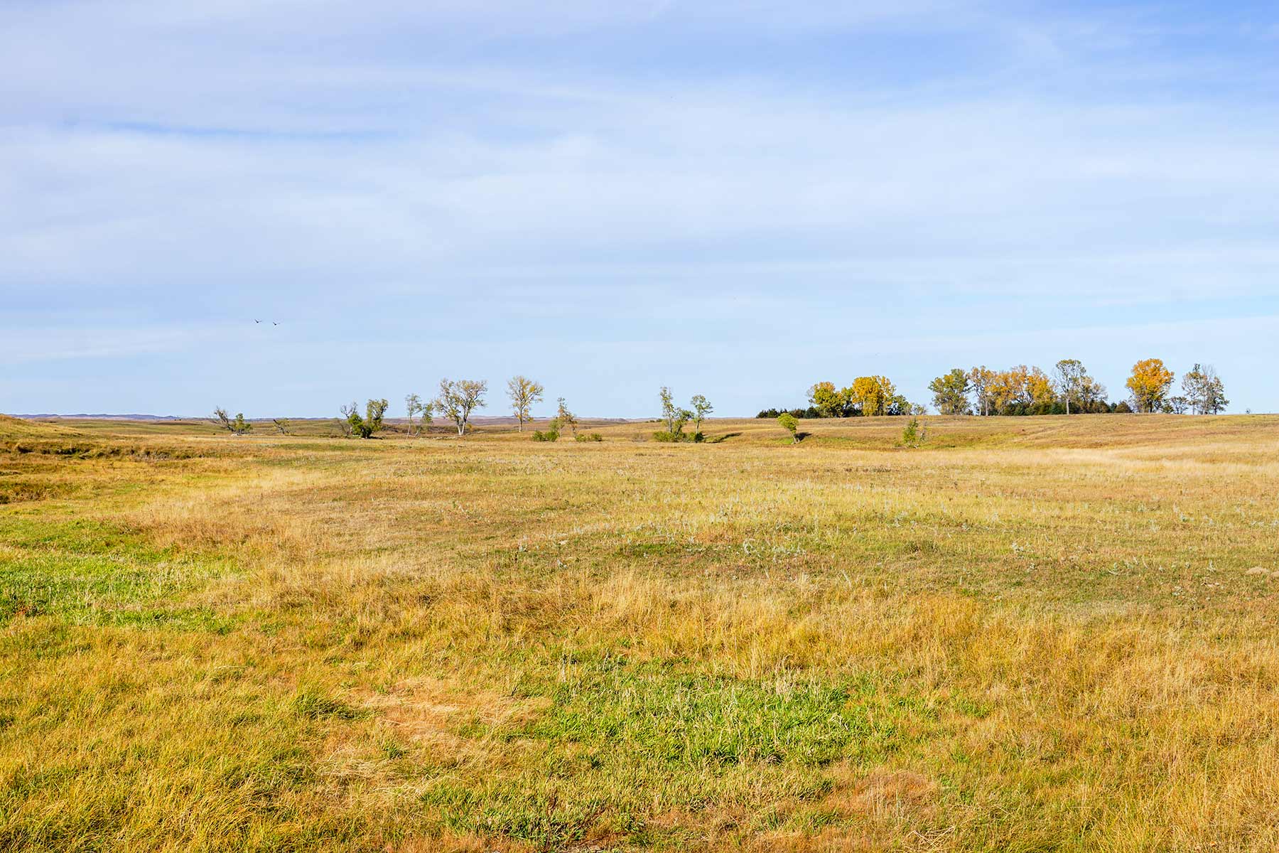 WM Zutavern Ranch property picture 52 of 53