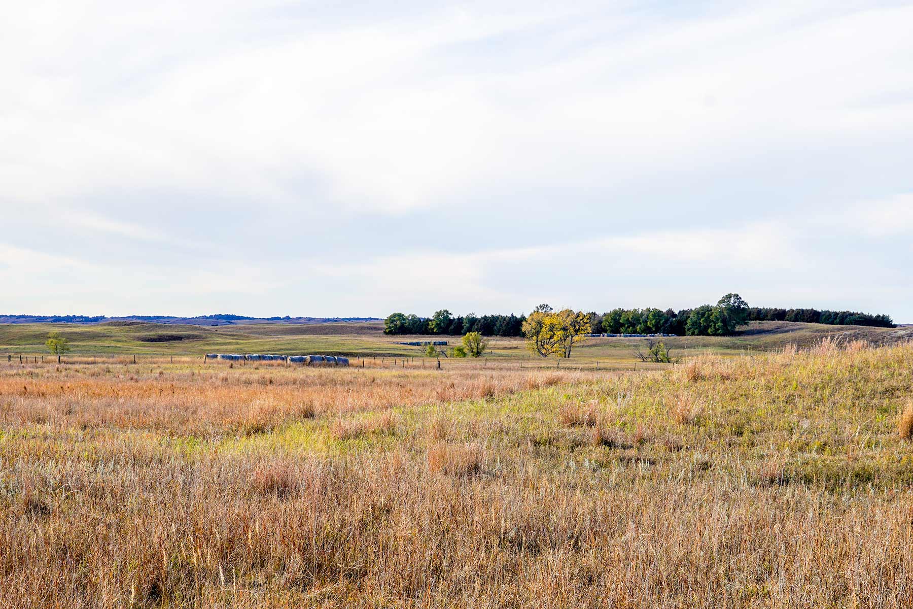 WM Zutavern Ranch property picture 53 of 53